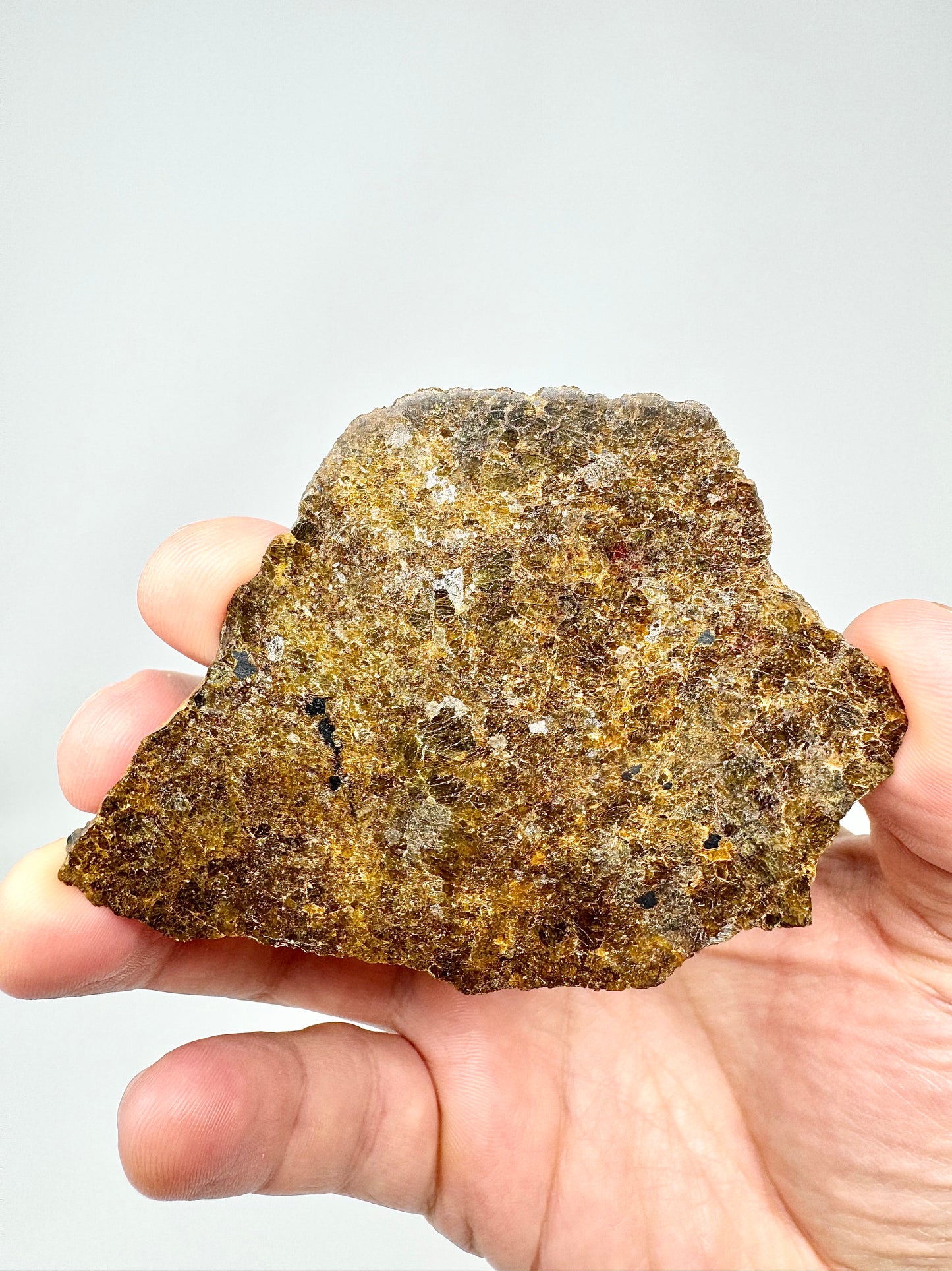 15.3g NWA 16317 Translucent Diogenite Meteorite - Parent Body: Asteroid Vesta