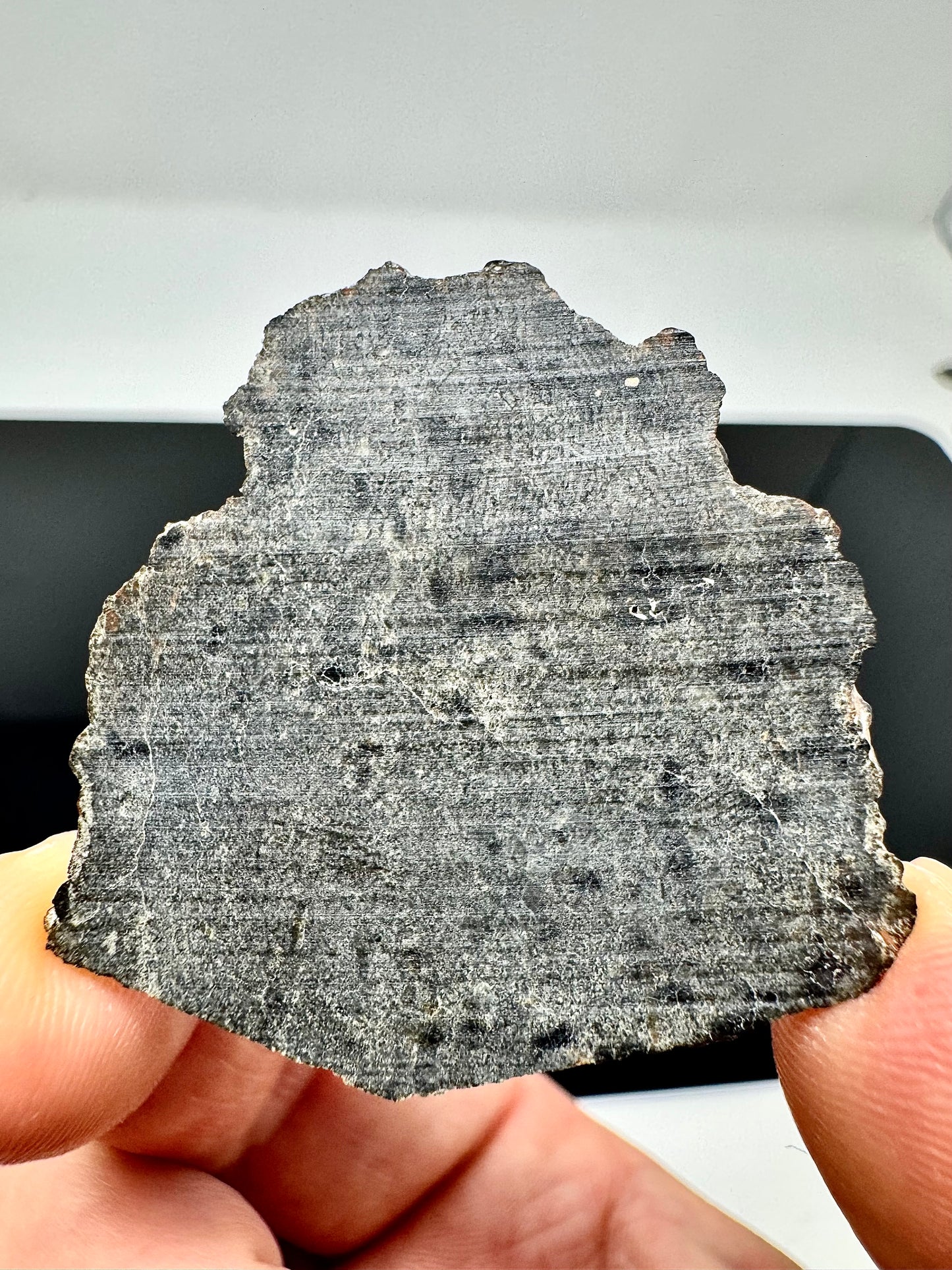 NEW: 7.5g Genuine Martian Meteorite - Scientifically Studied Rock From Planet Mars w/ Aqueous Alteration - NWA 18281