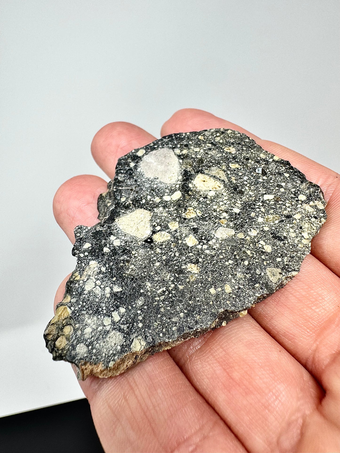 17.2g Stunning Diogenite Meteorite Under Classification - Beautiful Matrix! Parent Body: Asteroid Vesta