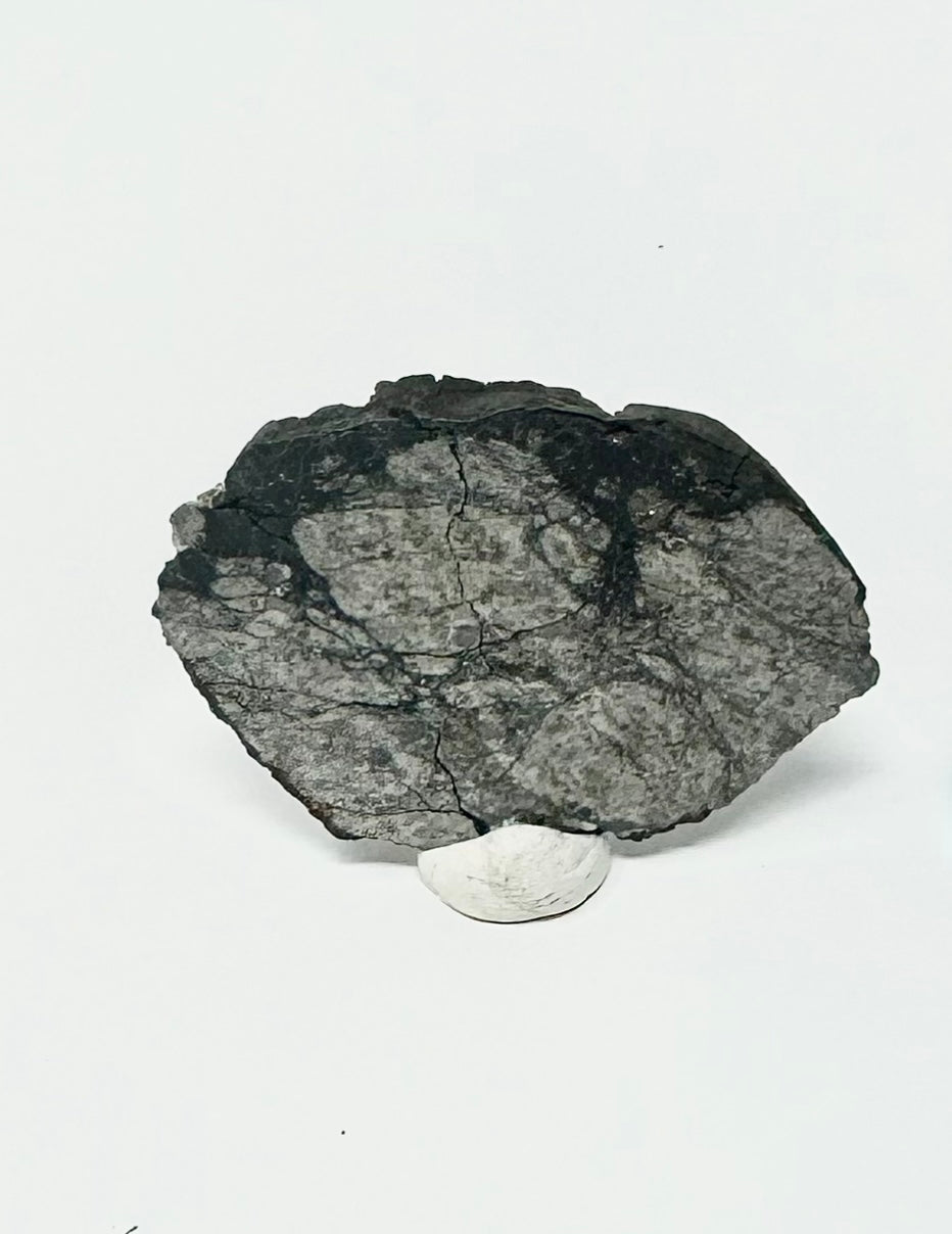 9.9g Chelyabinsk Full Slice Brecciated Meteorite - Jet Black Crust - Incredibly Fresh and Discovered Immediately After the Fall!
