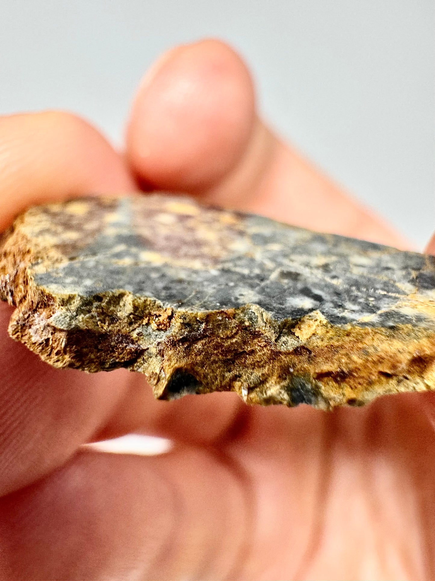 Adrar 013 Lunar Meteorite - A Rare Gabbro/Norite - From Our Moon! 2.2g