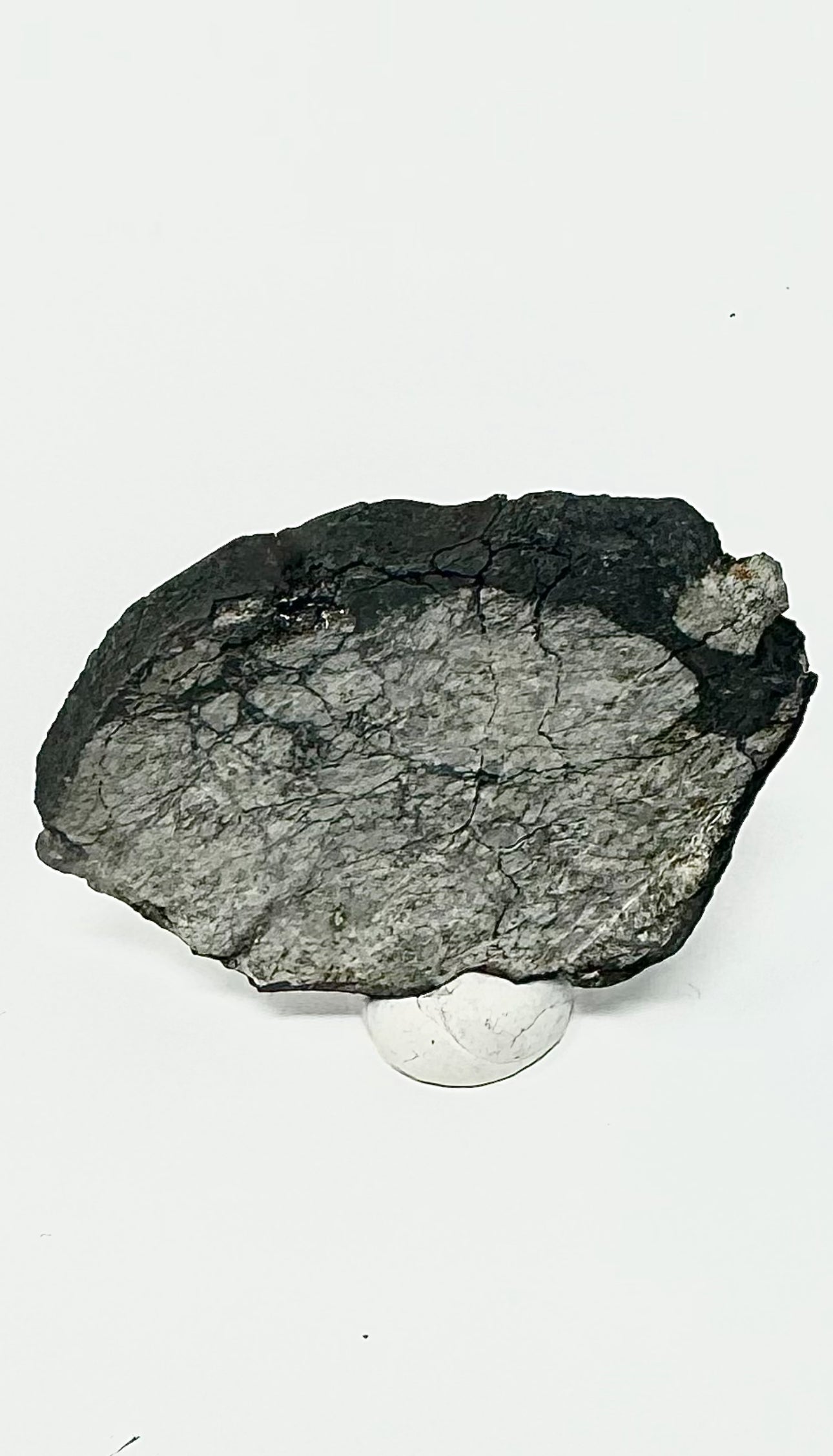 9.9g Chelyabinsk Full Slice Brecciated Meteorite - Jet Black Crust - Incredibly Fresh and Discovered Immediately After the Fall!