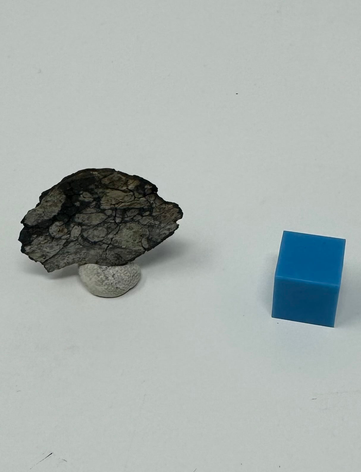 4.0g Chelyabinsk End Cut - Brecciated Meteorite - Jet Black Crust - Incredibly Fresh and Discovered Immediately After the Fall!