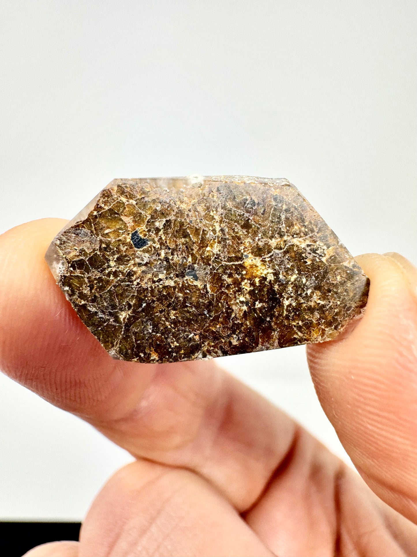 2.4g NWA 16317 Diogenite Meteorite - Parent Body: Asteroid Vesta