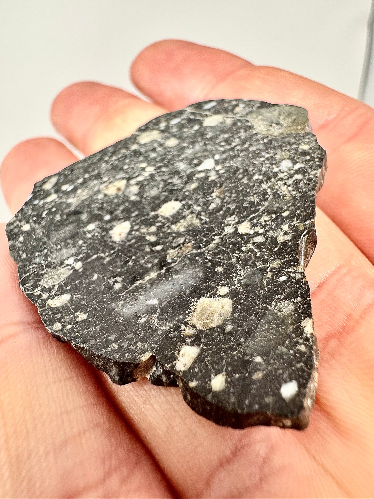 NEW! 7.7g Newly Discovered Lunar Breccia - FULL SLICE - A Genuine Piece Of Our Moon!