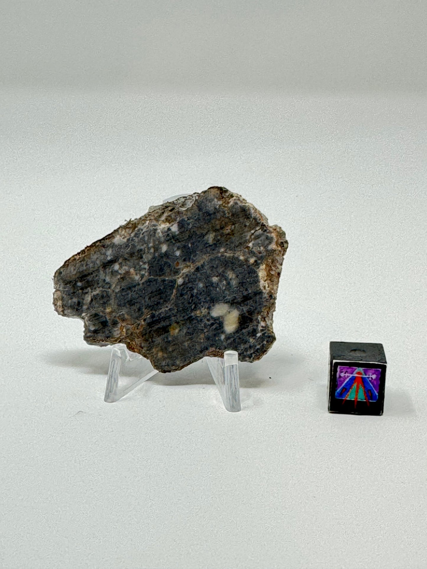 Bechar 003 Lunar Feldspathic Breccia - 8.3g - Full Slice/Polished on One Side