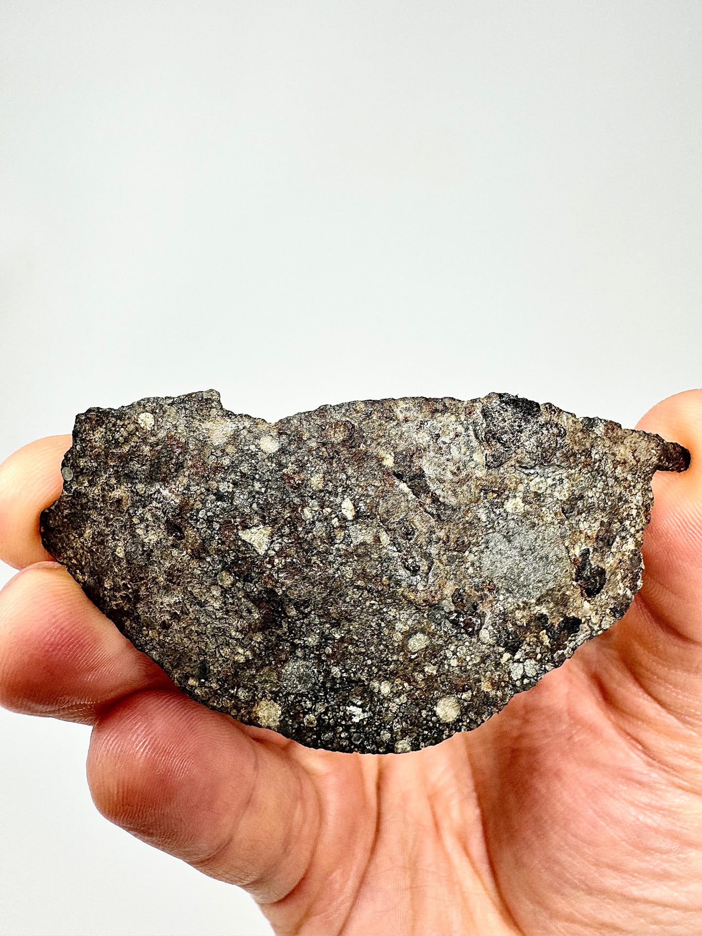 Aba Panu Meteorite End Cut - Tracked by NASA! Stunning Chondrules - 29.8g
