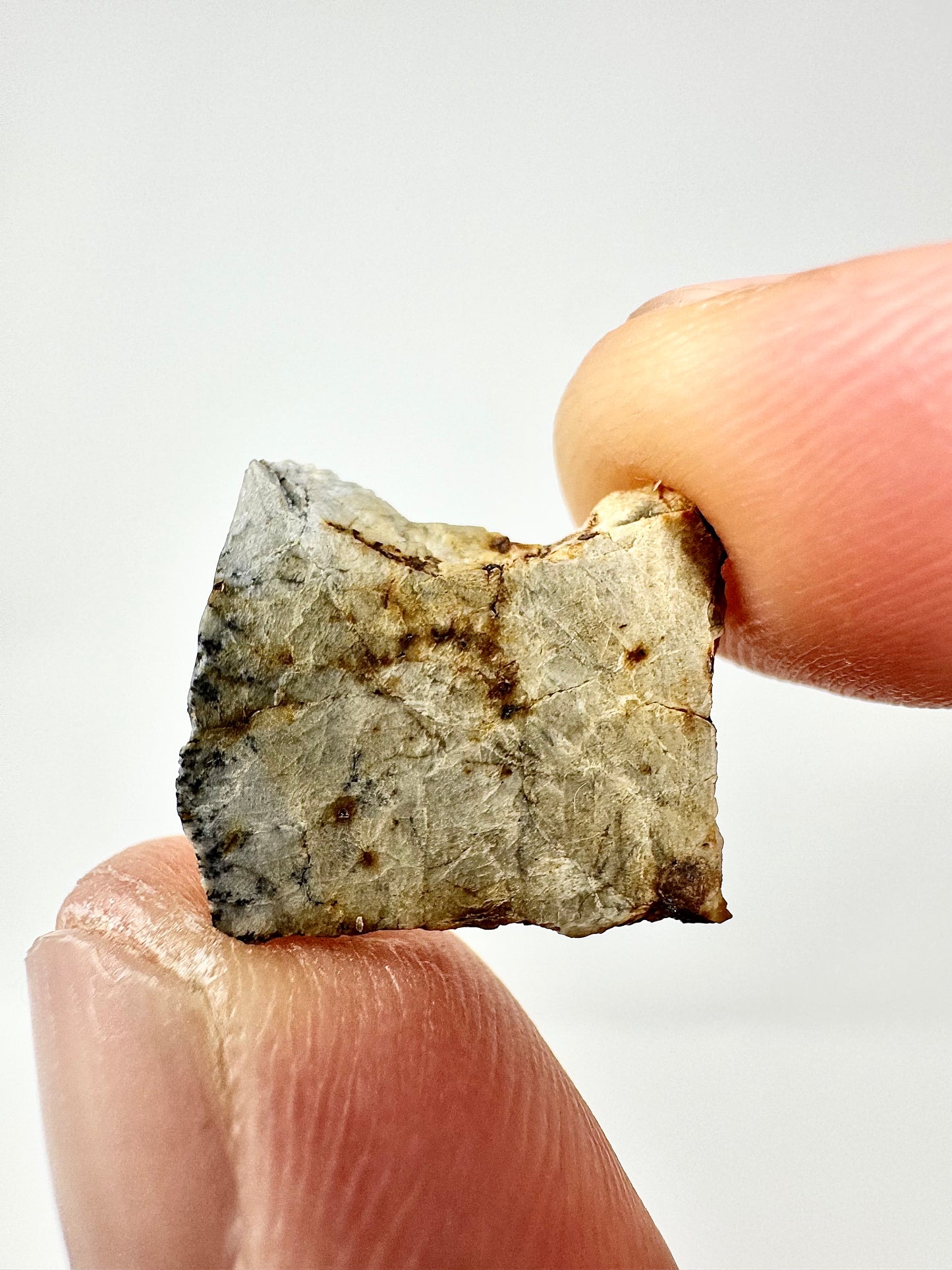 1.2g Djoua 001 Enstatite Achondrite Meteorite - Evidence of Planet Mercury - Marble Appearance