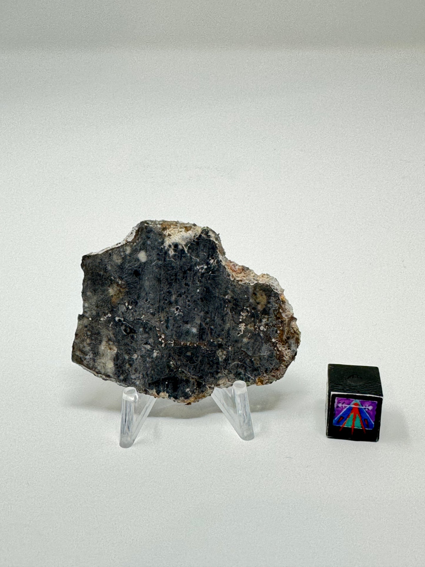 Bechar 003 Lunar Feldspathic Breccia - 7.2g - Full Slice/Polished on One Side