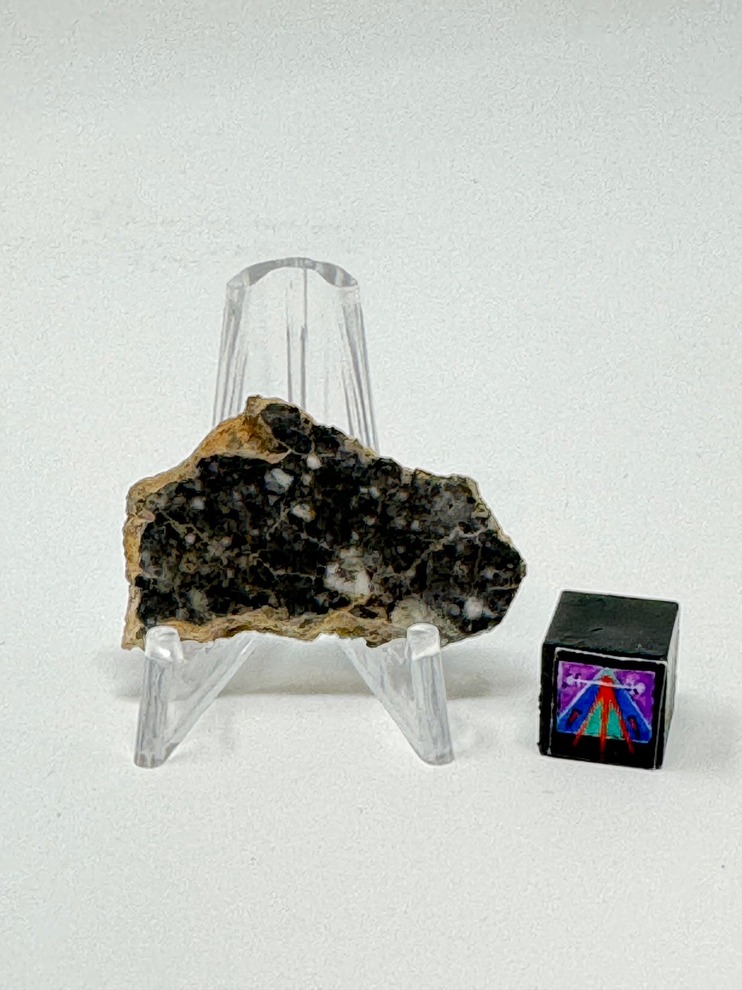 Bechar 003 Lunar Feldspathic Breccia - 3.7g - Polished on One Side