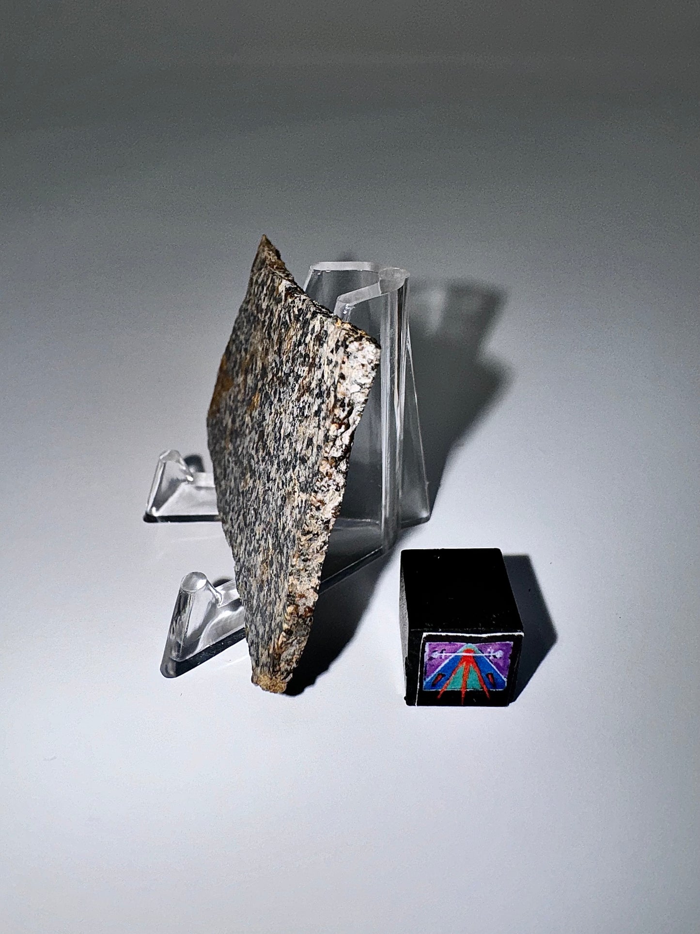 NWA 16312 Eucrite Meteorite - 8.8g - Part Of The HED Group