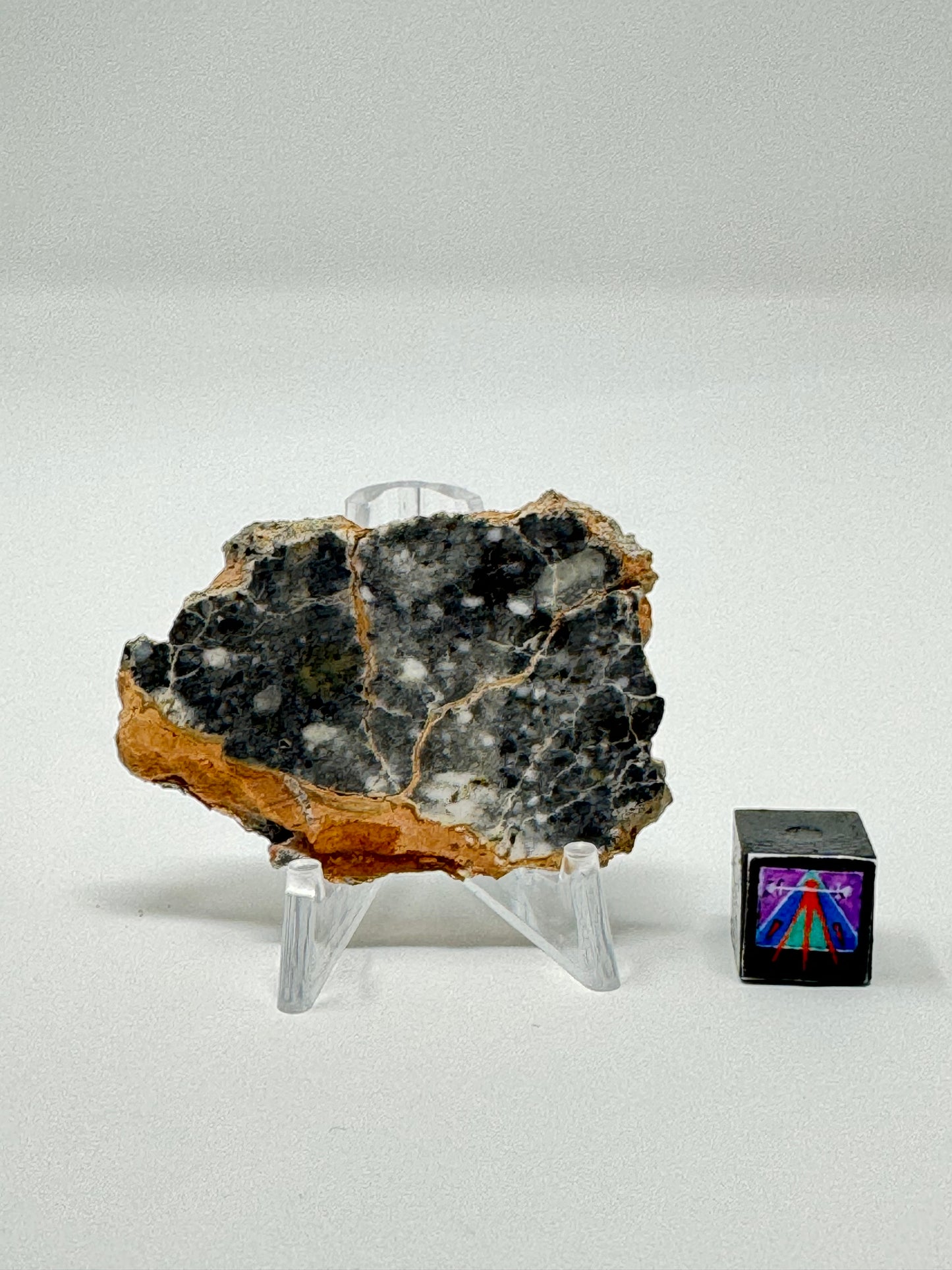 Bechar 003 Lunar Feldspathic Breccia - 6.5g - Full Slice/Polished on One Side