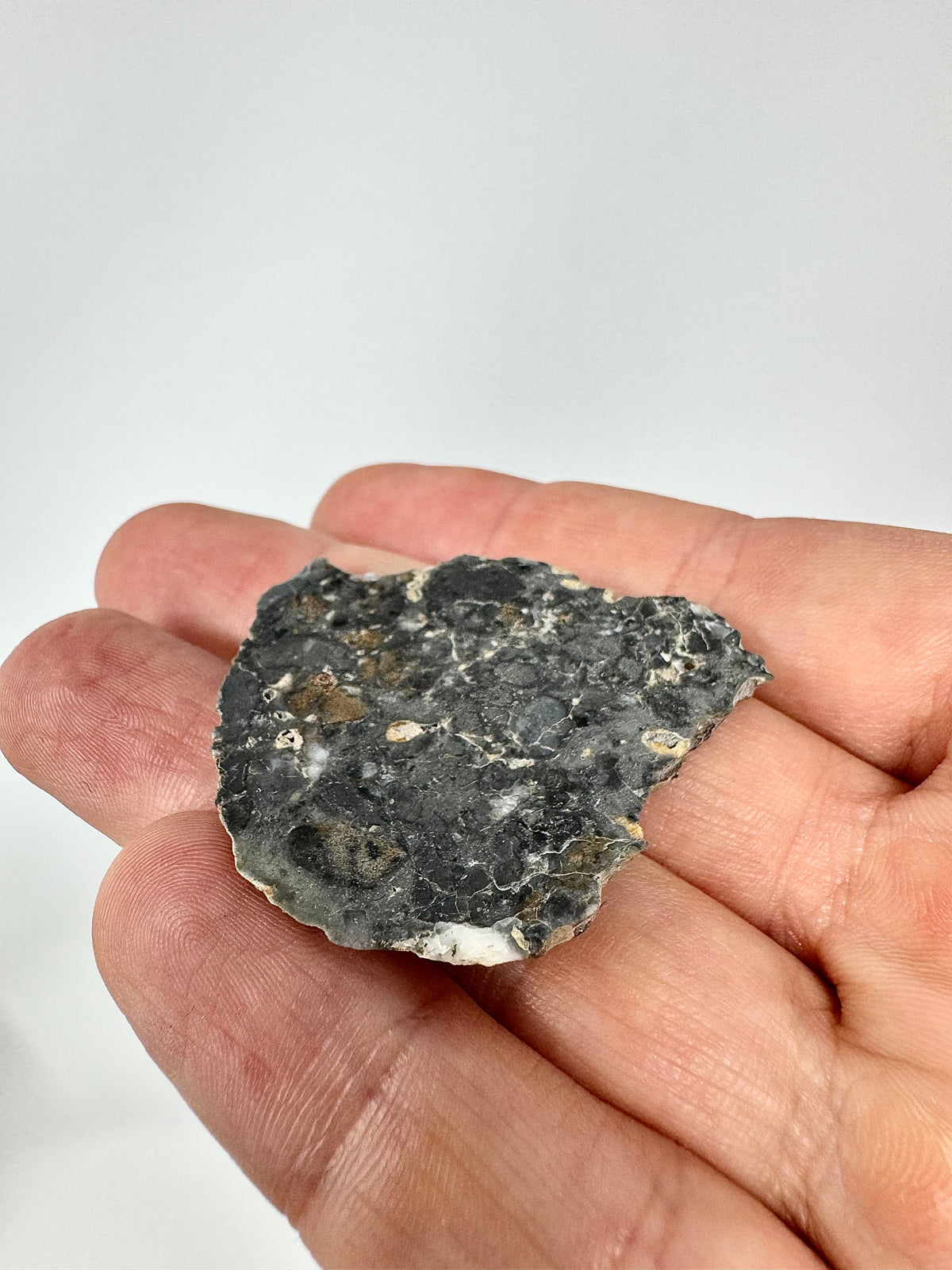 8.6g Adrar 017 Lunar Meteorite - A Rare Gabbro/Norite - From The Moon!