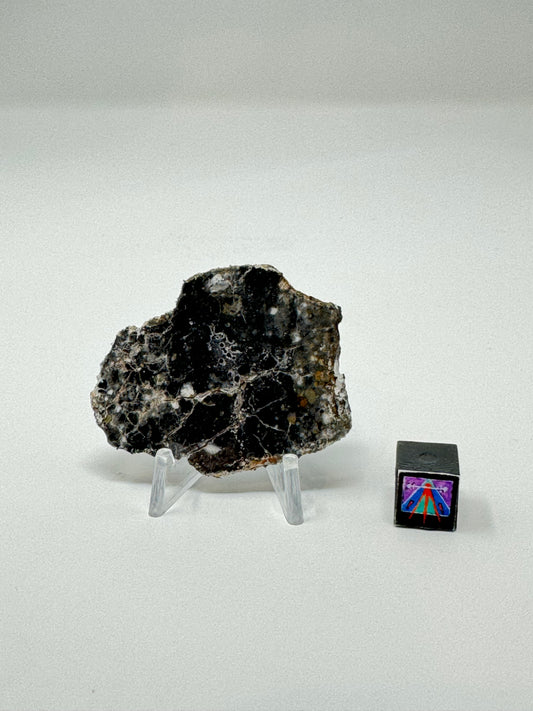 Bechar 003 Lunar Feldspathic Breccia - 7.2g - Full Slice/Polished on One Side