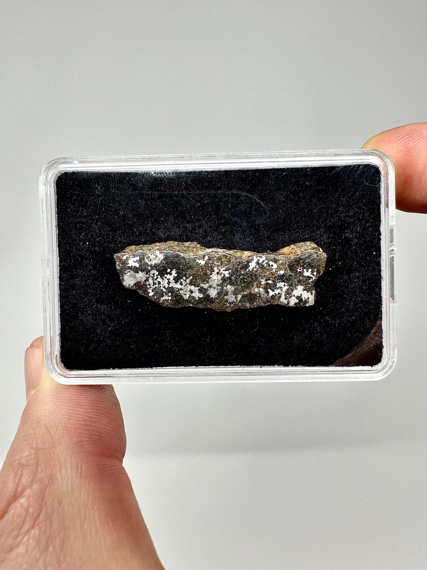 The Famous Bondoc Mesosiderite Meteorite - 2.9g