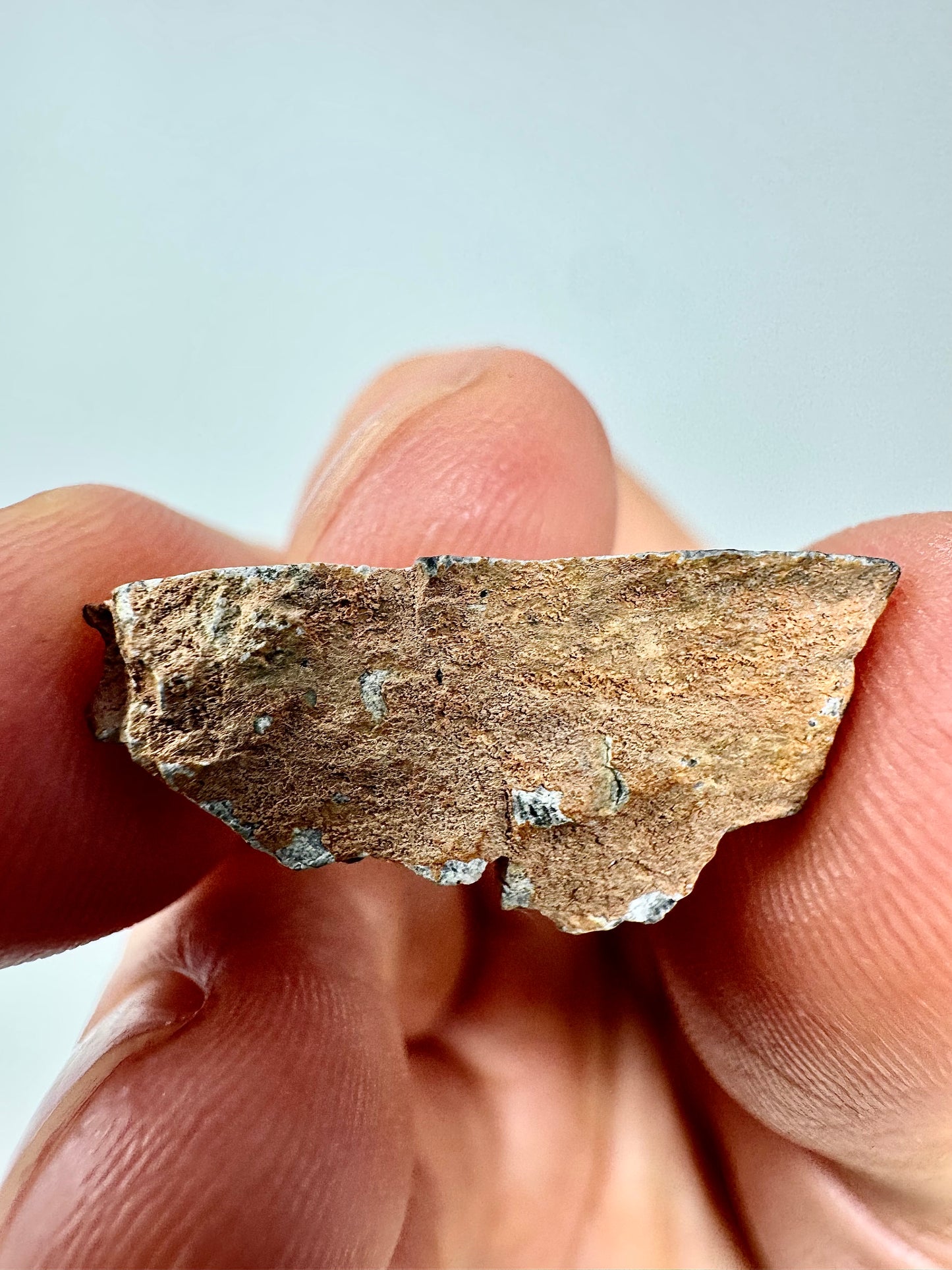 Bechar 003 Lunar Feldspathic Breccia- End/Wedge Cut - 1.8g - A Piece Of Our Moon!