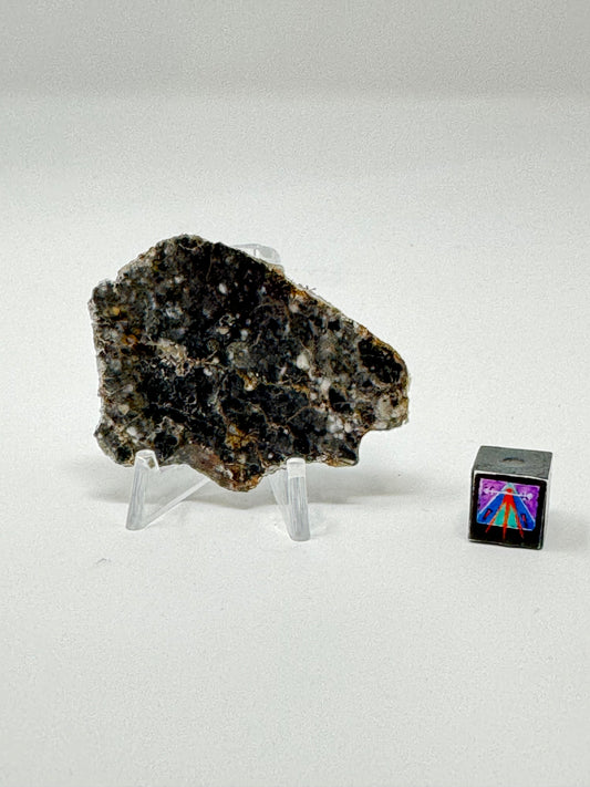 Bechar 003 Lunar Feldspathic Breccia - 8.3g - Full Slice/Polished on One Side