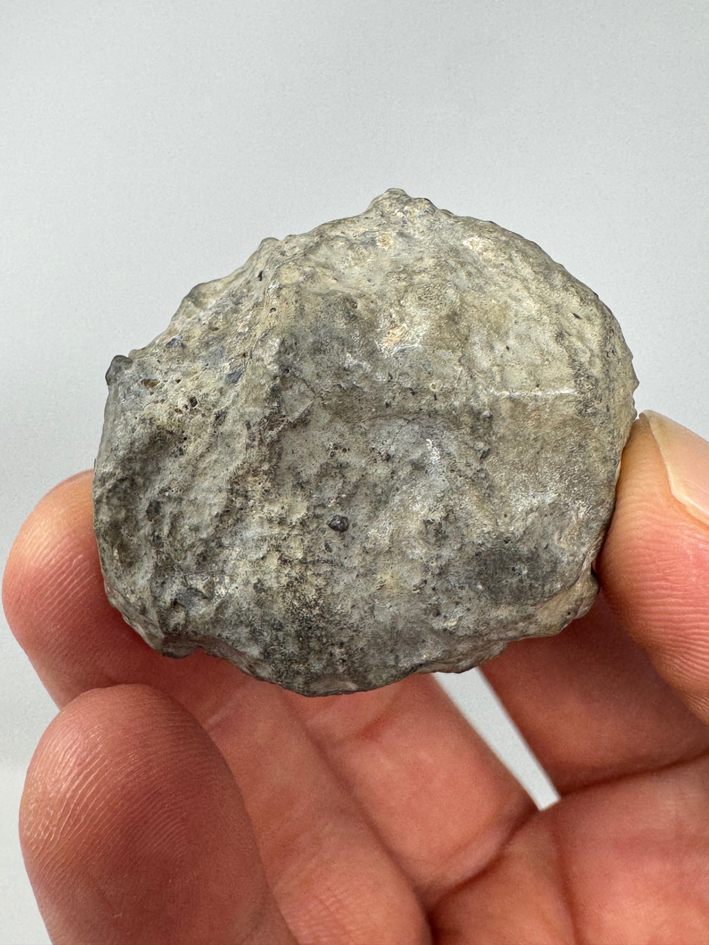 45.8g Lunar Troctolitic Melt - WHOLE STONE! A Rare Lunar Meteorite From Deep Within The Moon