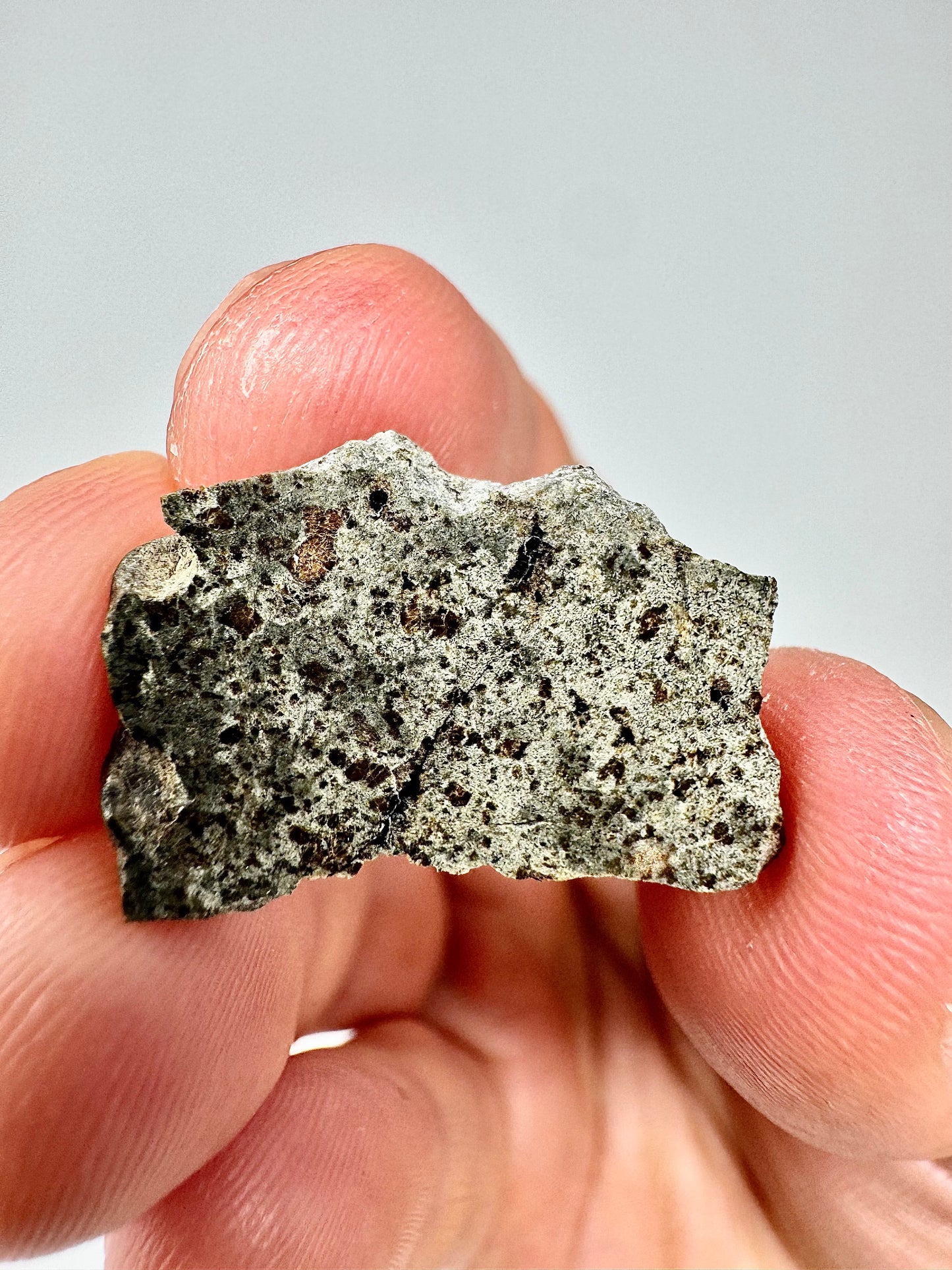 2.4g Genuine Martian Meteorite Amgala 001- Scientifically Studied Rock From Planet Mars