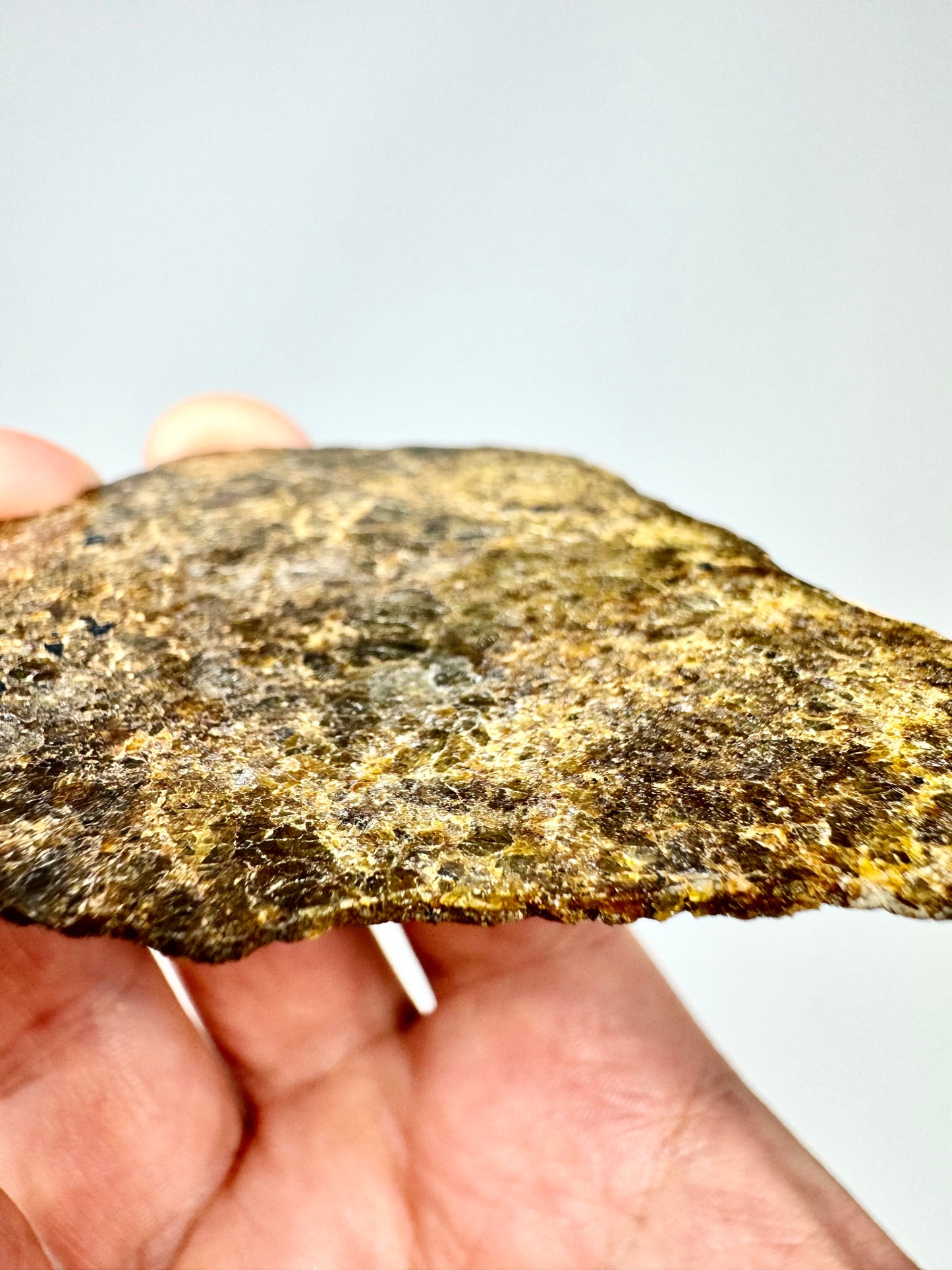 15.3g NWA 16317 Translucent Diogenite Meteorite - Parent Body: Asteroid Vesta