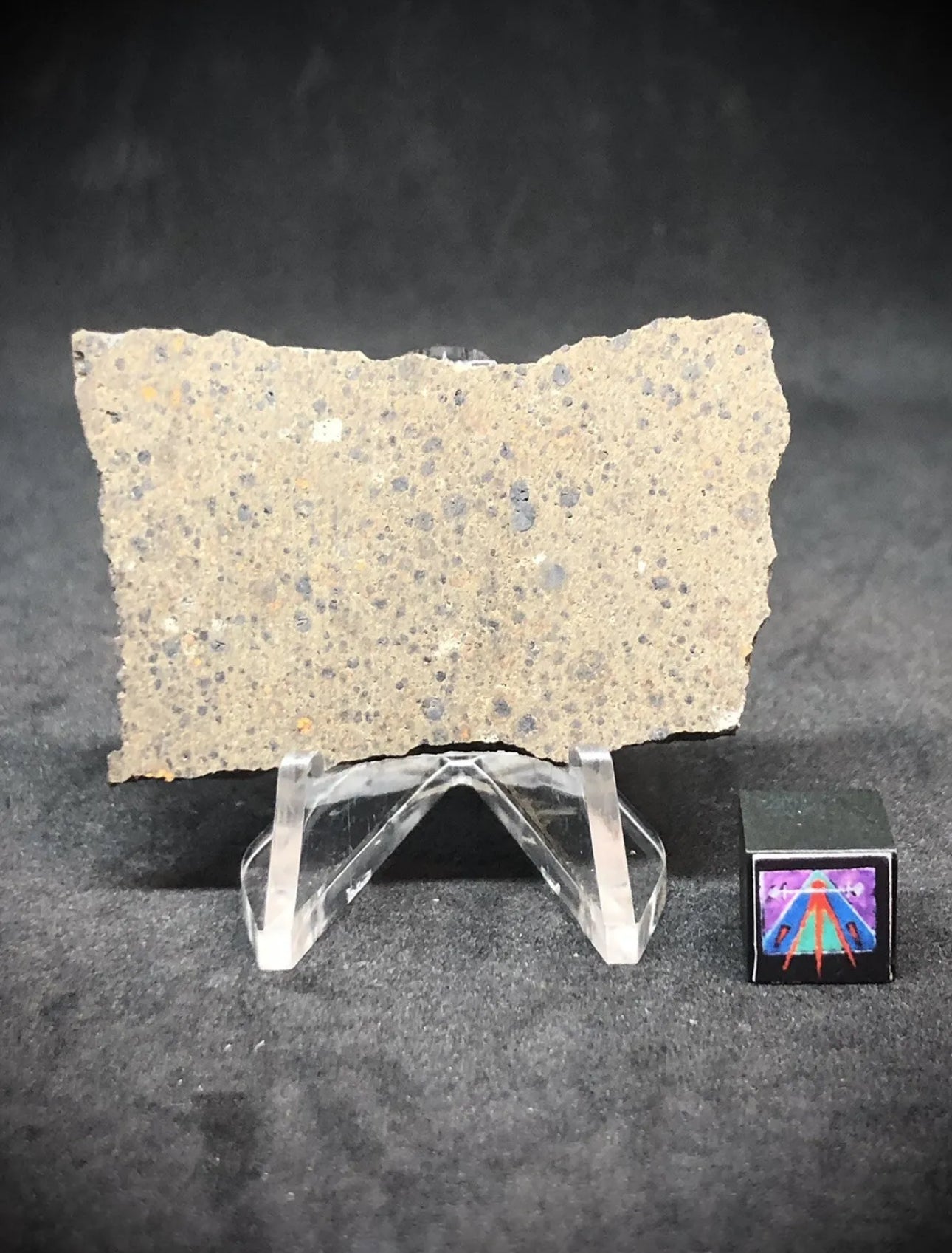 NWA 16314 11.4g Carbonaceous Chondrite - CK5 Meteorite