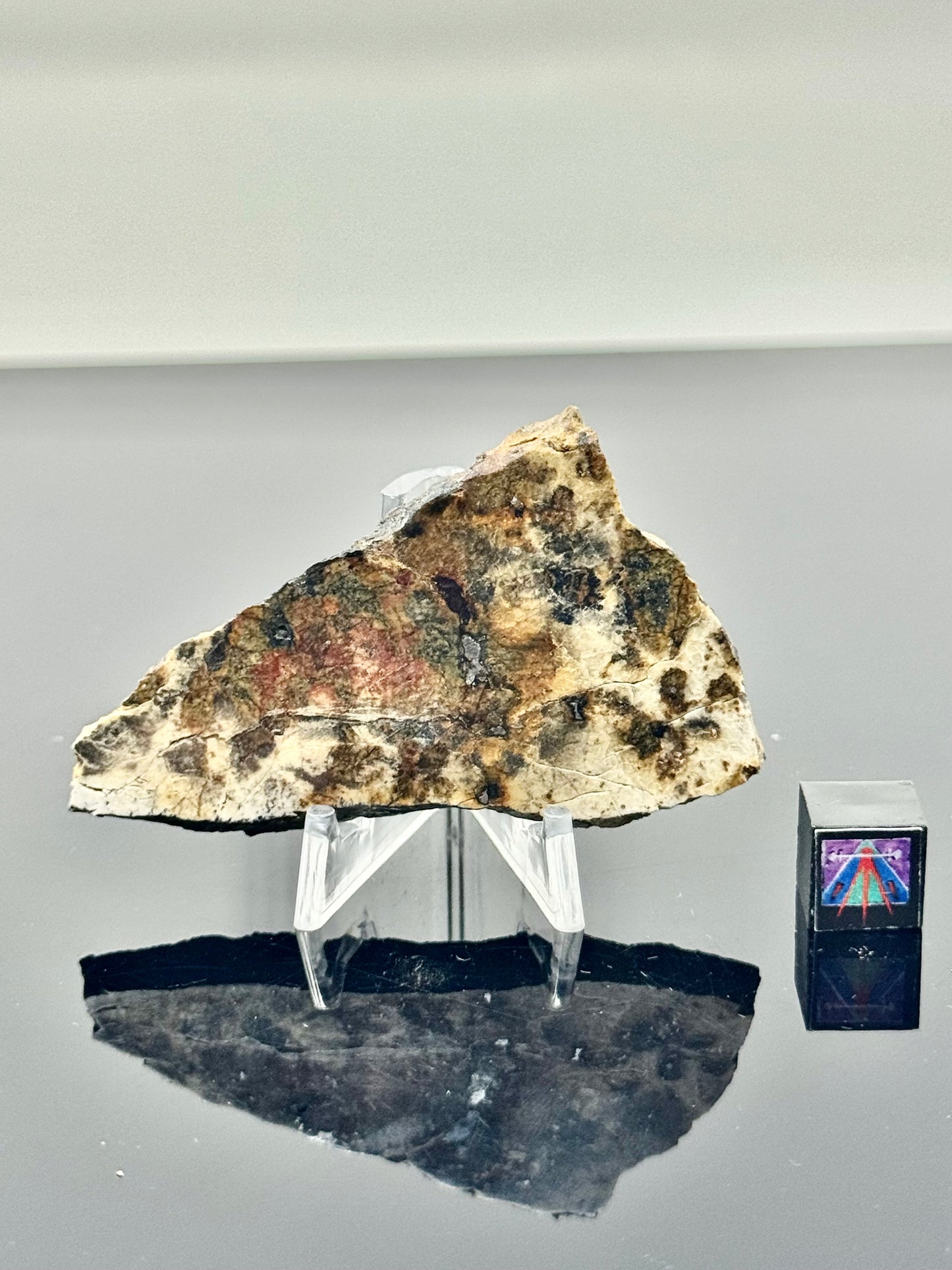 26.6g Djoua 001 Enstatite Achondrite Meteorite - Thick Cut! Evidence of Planet Mercury - Marble Appearance