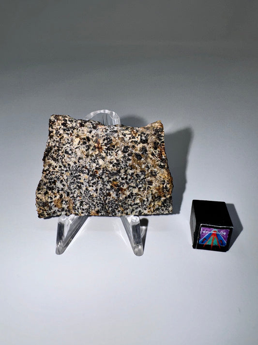 NWA 16312 Eucrite Meteorite - 8.8g - Part Of The HED Group