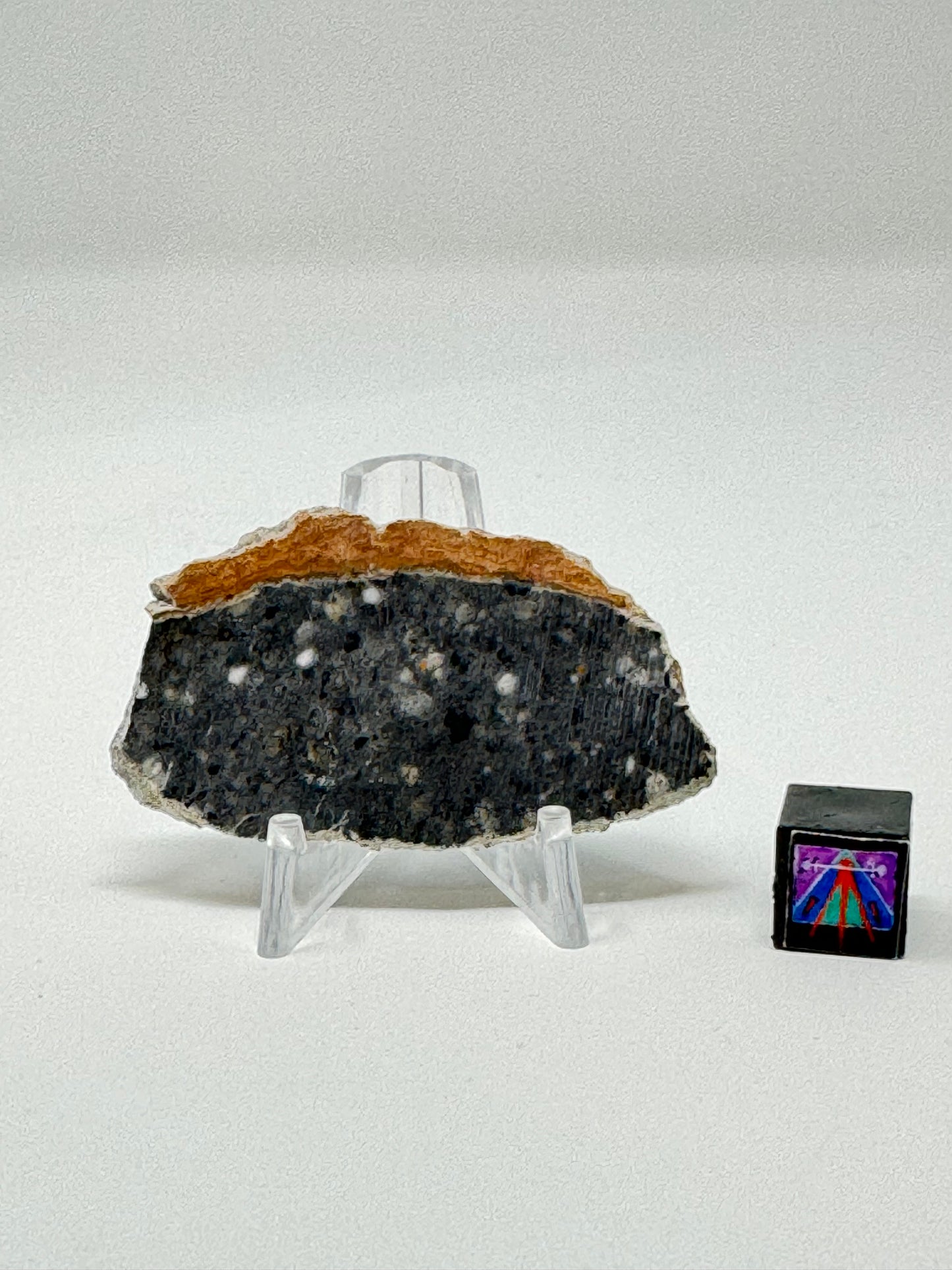Bechar 003 Lunar Feldspathic Breccia - 5.4g - Full Slice/Polished on One Side