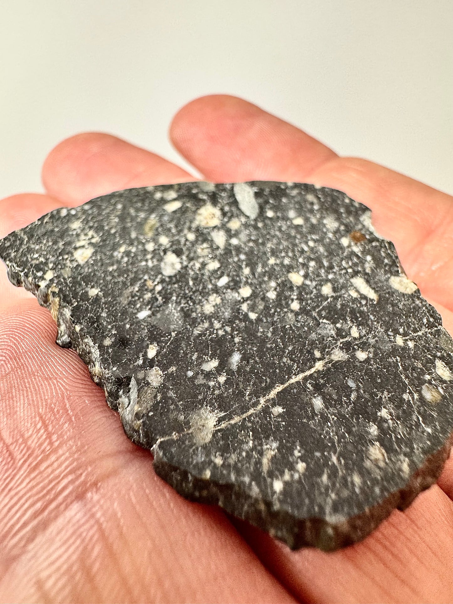 NEW! 8.4g Newly Discovered Lunar Breccia - FULL SLICE - A Genuine Piece Of Our Moon!