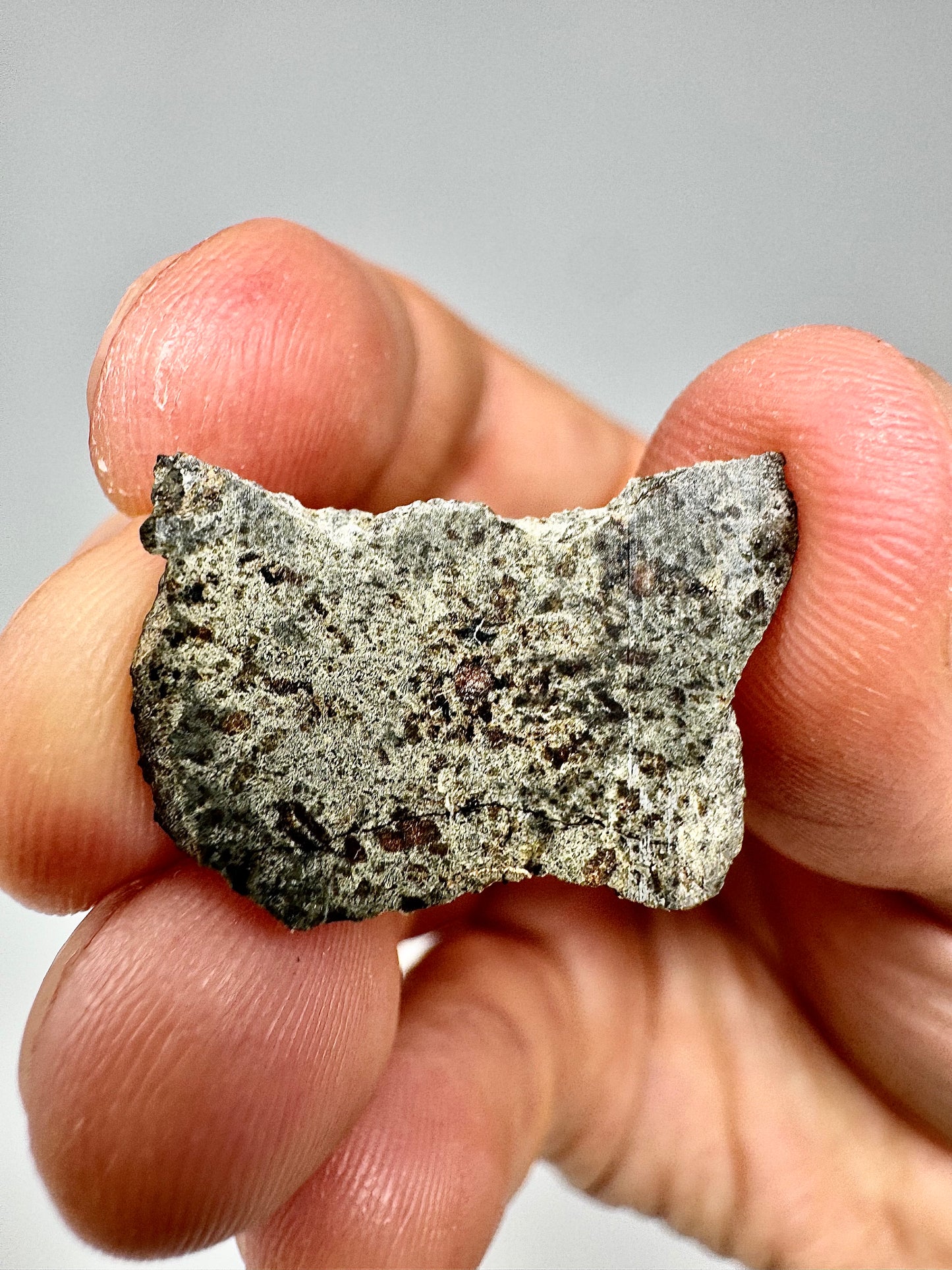 2.1g Genuine Martian Meteorite Amgala 001- Scientifically Studied Rock From Planet Mars