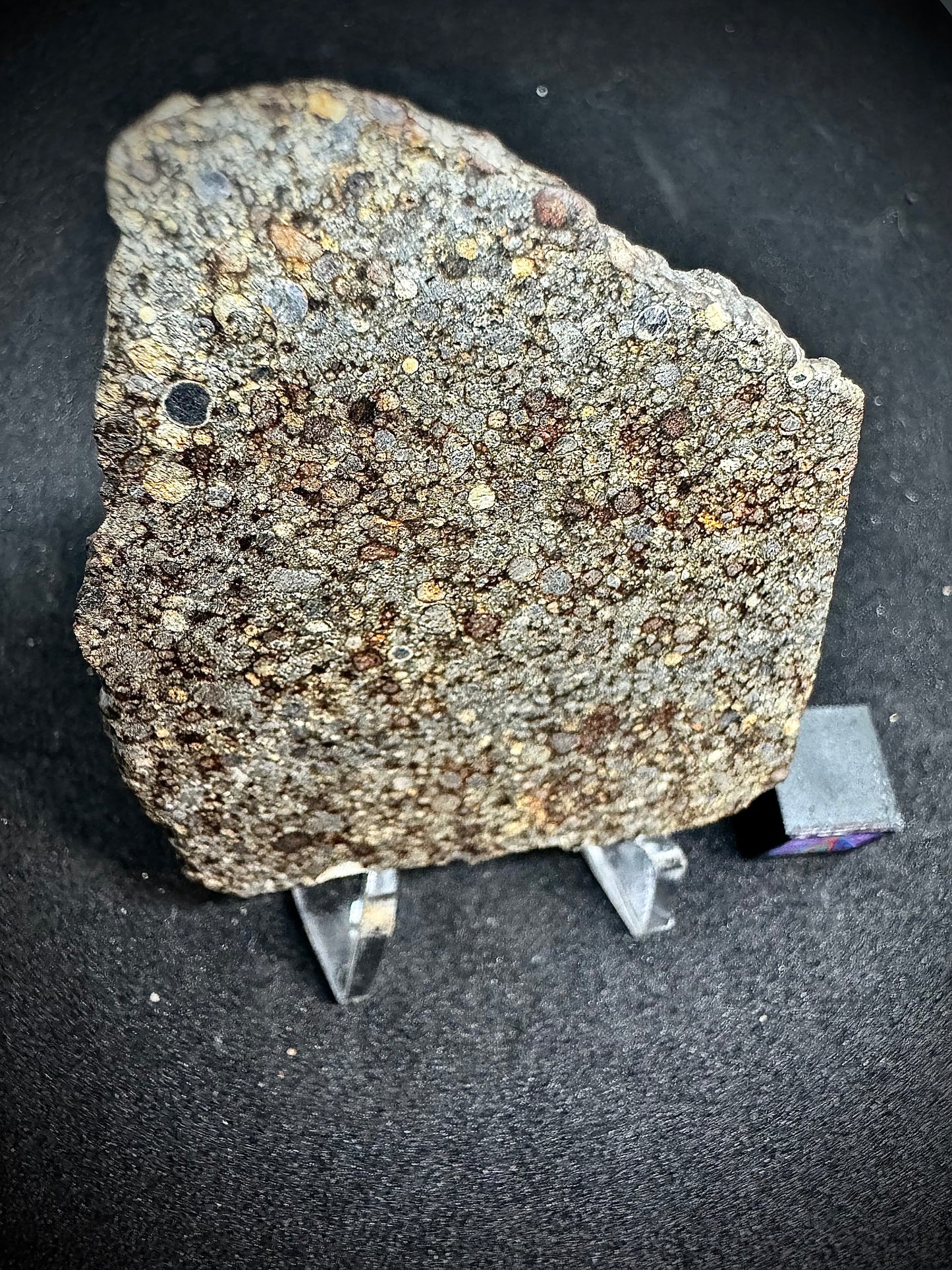 NWA 8007 - A Stunning Ordinary Chondrite Packed With Chondrules