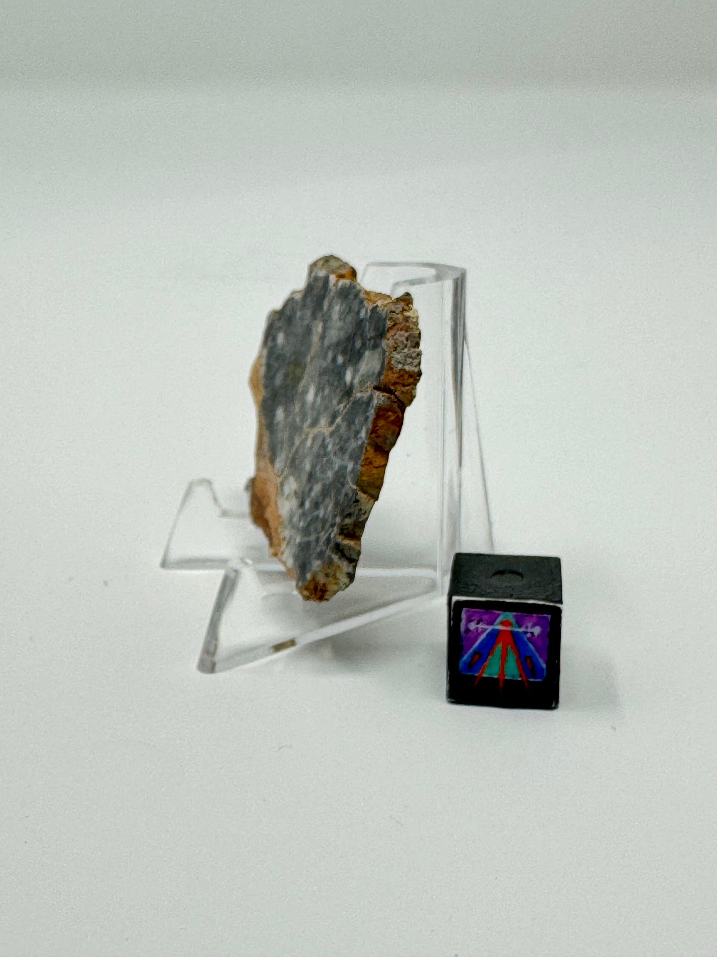 Bechar 003 Lunar Feldspathic Breccia - 6.5g - Full Slice/Polished on One Side