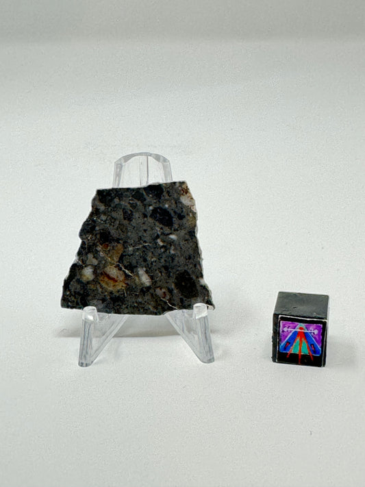 Bechar 003 Lunar Feldspathic Breccia - 3.5g - Polished on One Side