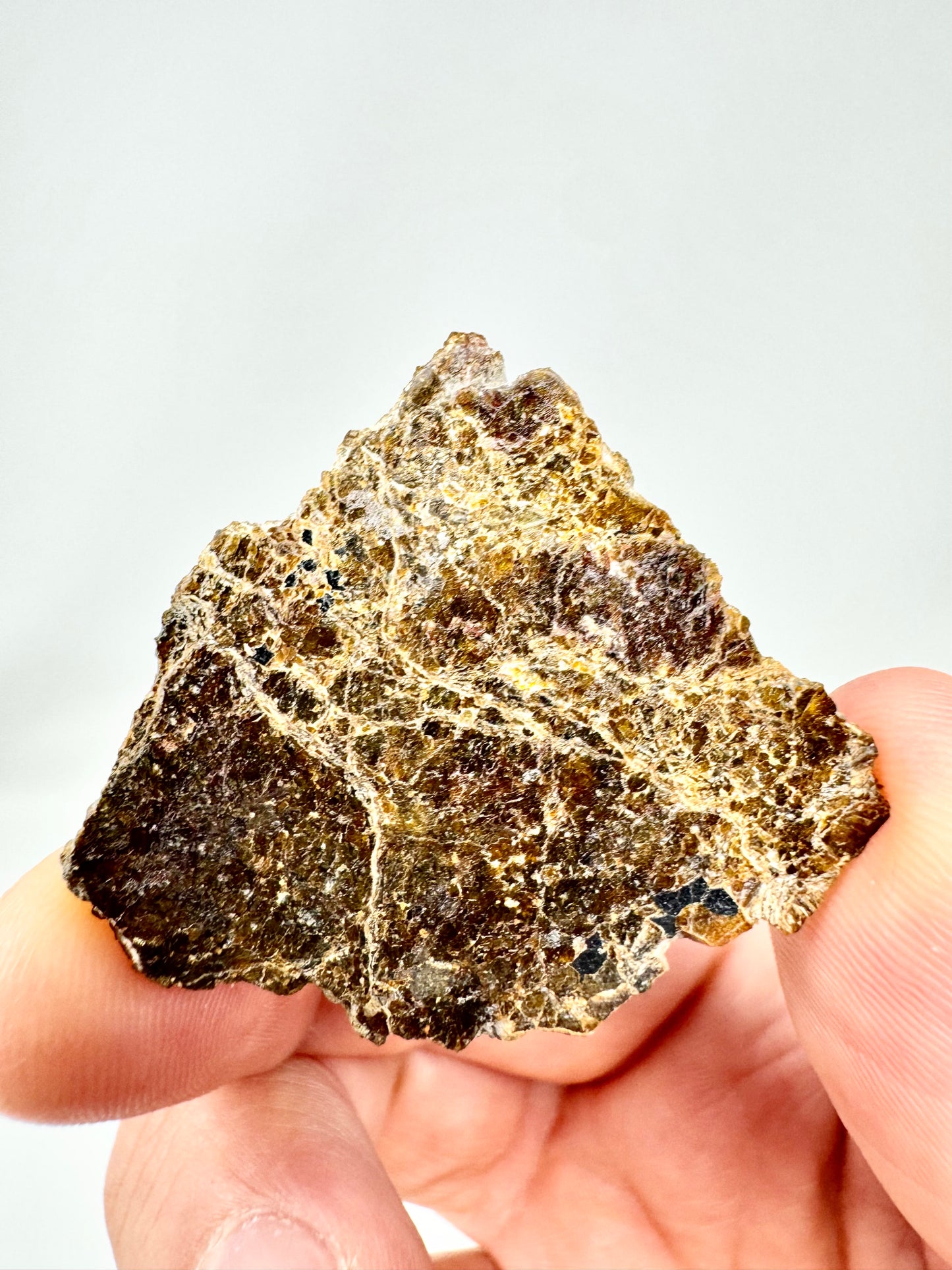 5.1g NWA 16317 Translucent Diogenite Meteorite - Parent Body: Asteroid Vesta
