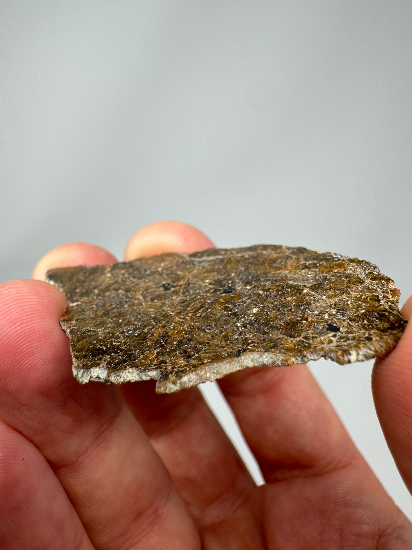 4.4g NWA 16317 Translucent Diogenite Meteorite - Parent Body: Asteroid Vesta