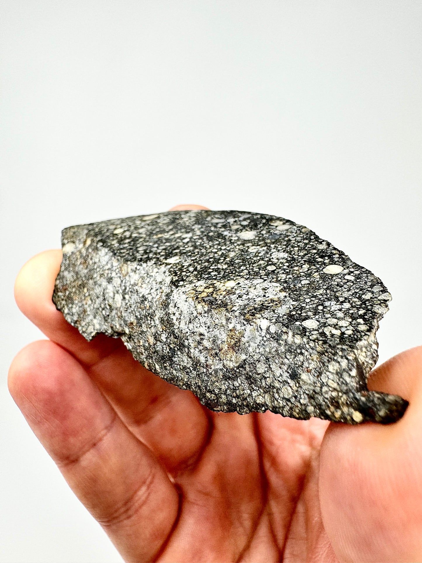 Aba Panu Meteorite End Cut - Tracked by NASA! Stunning Chondrules - 29.8g