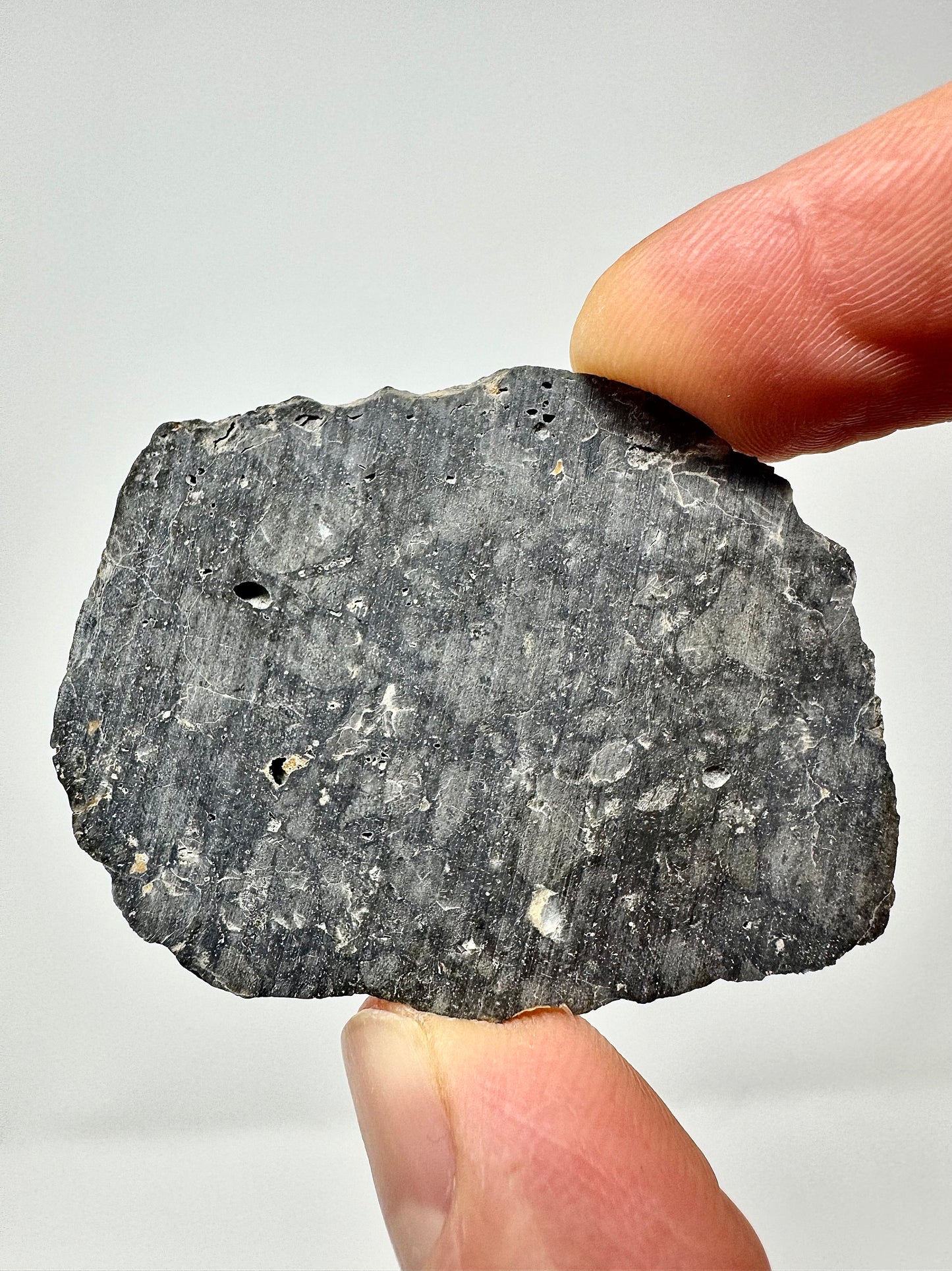 NEW: Lunar Meteorite Pending Classification - 7.7g - A Genuine Piece Of Our Moon!