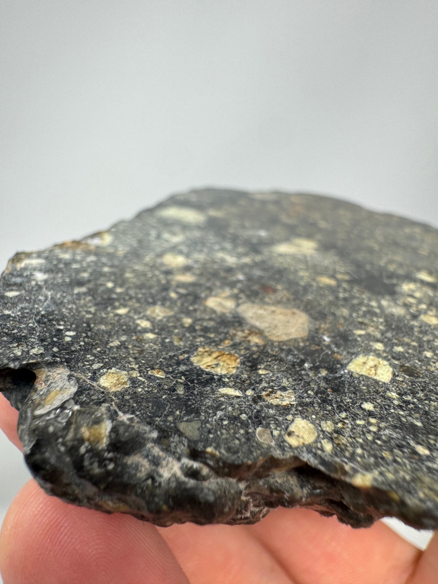 NEW! 174.6g MAIN MASS Stunning Diogenite Meteorite Under Classification - Beautiful Matrix! Parent Body: Asteroid Vesta