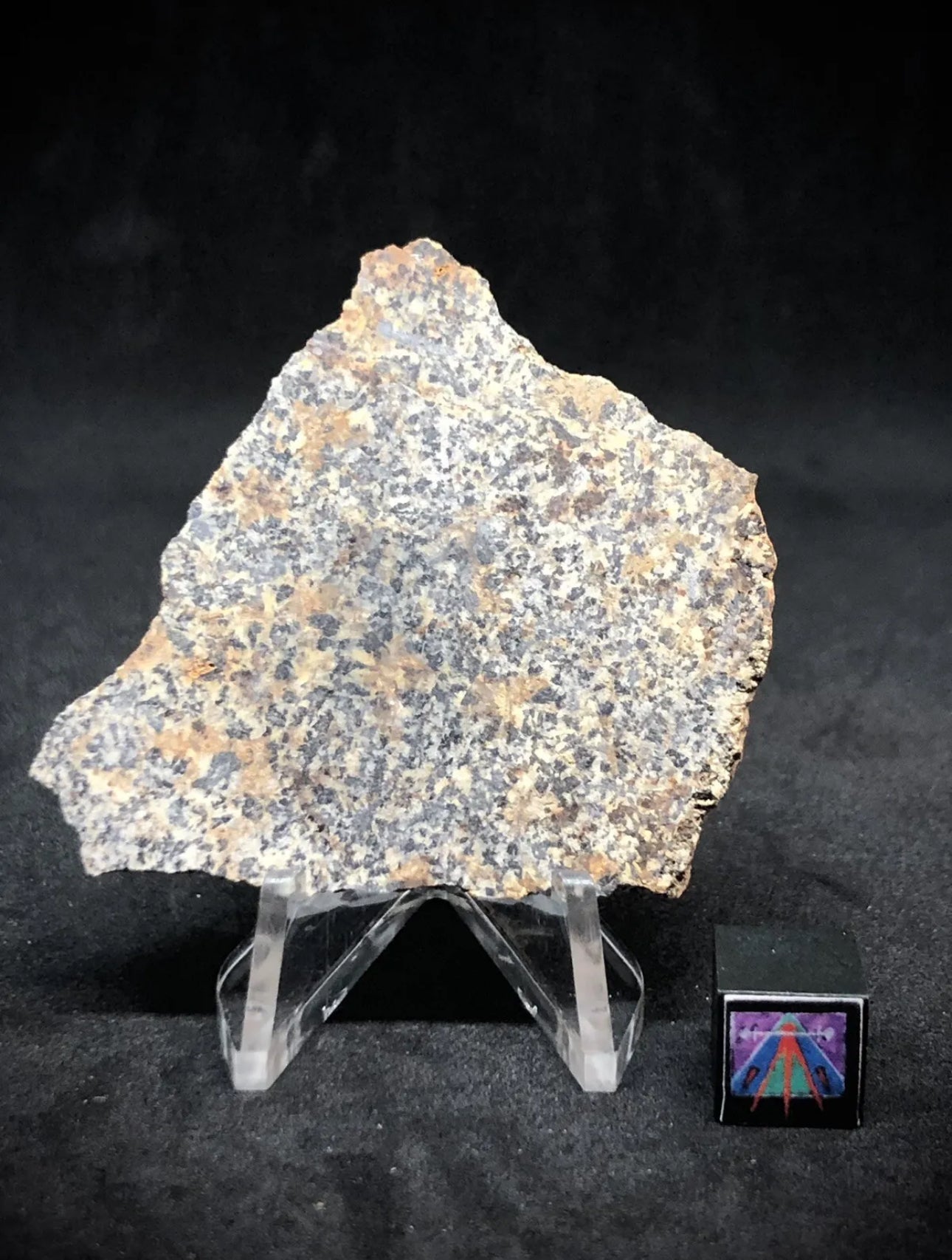 NWA 16312 Eucrite Meteorite - 14.1g - Part Of The HED Group