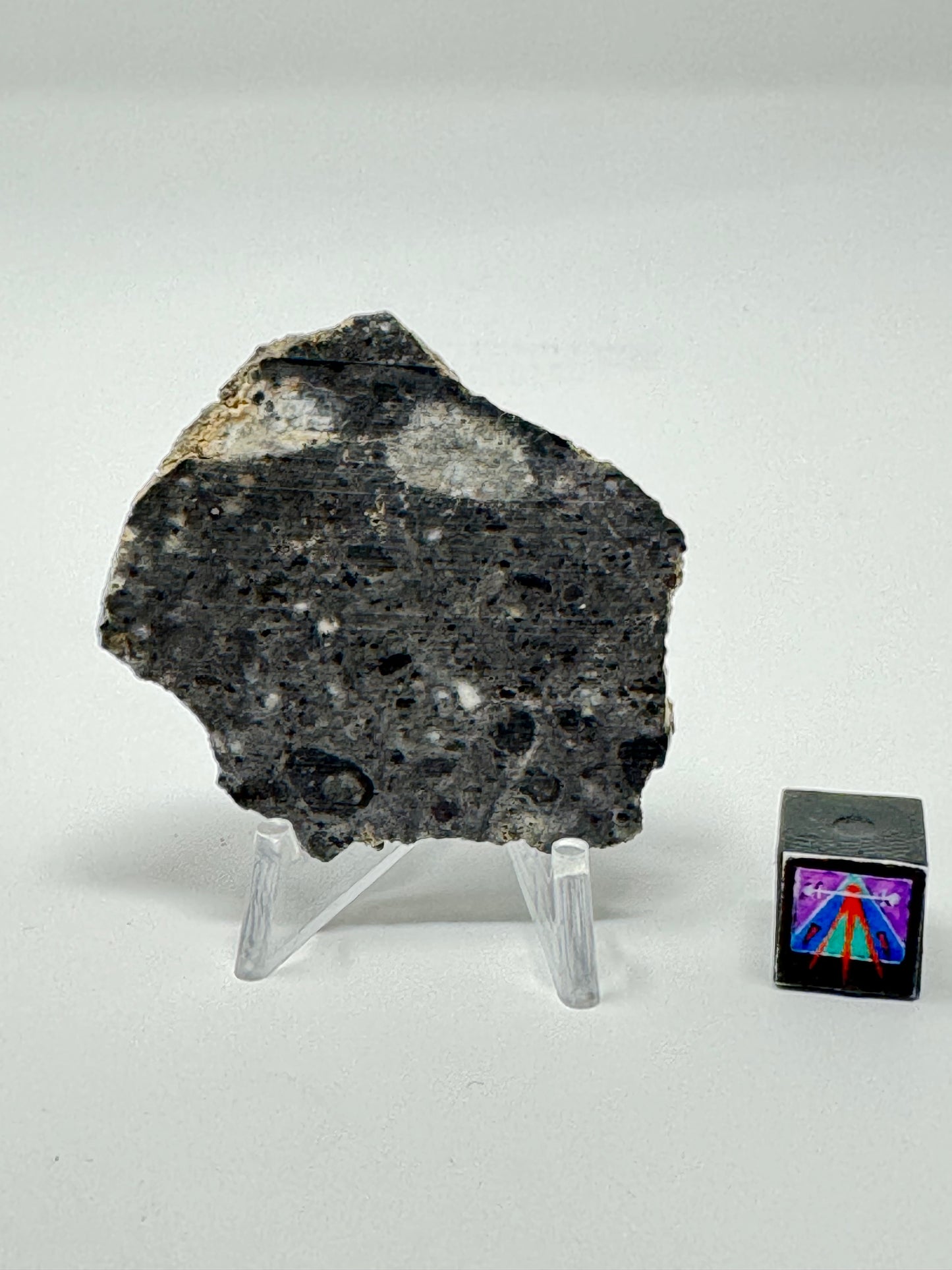 Bechar 003 Lunar Feldspathic Breccia - 8.3g - Full Slice/Polished on One Side