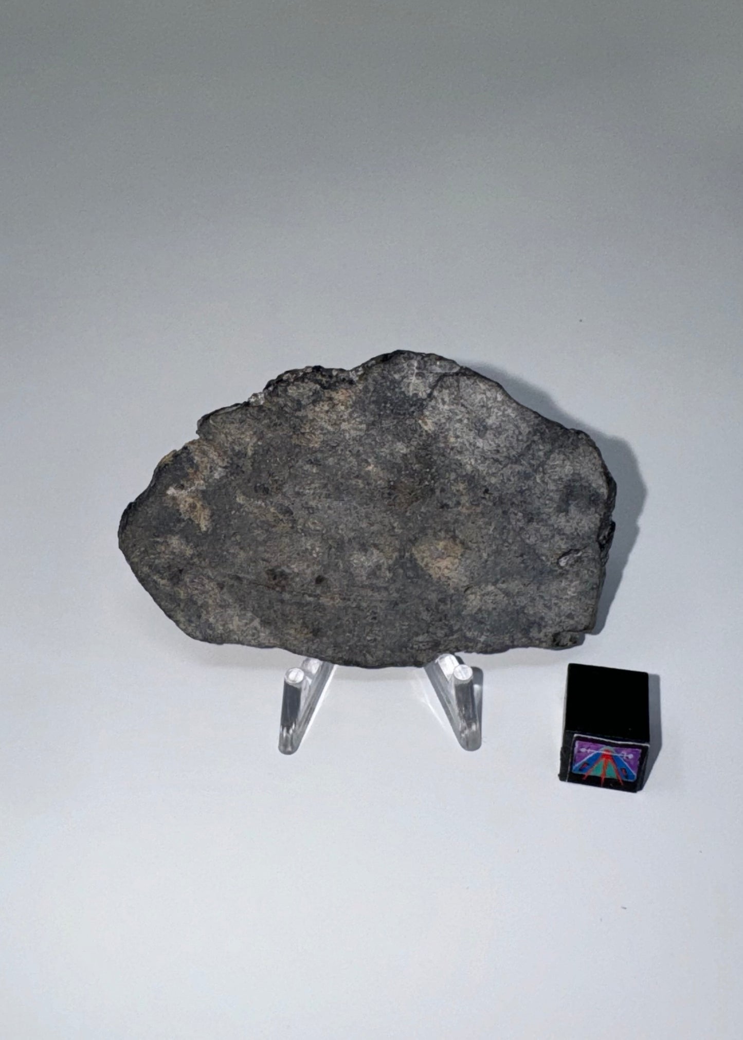 NWA 15923 Eucrite Meteorite - 10g (Parent Body: Asteroid)