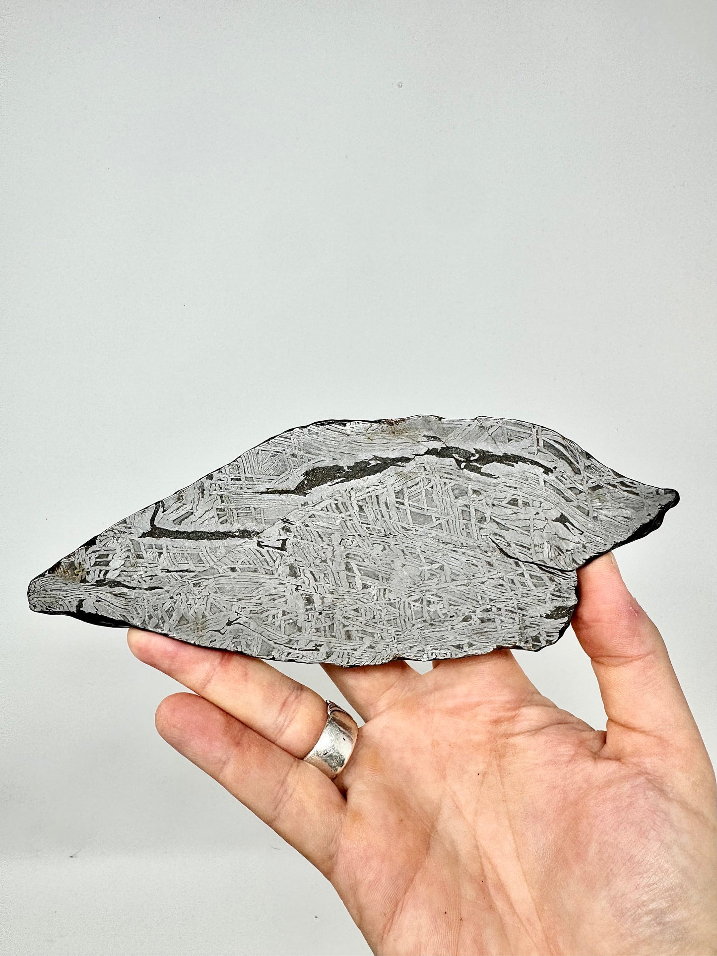 363.9g Aletai Meteorite - Beautiful Pattern - From The Core Of An Asteroid!
