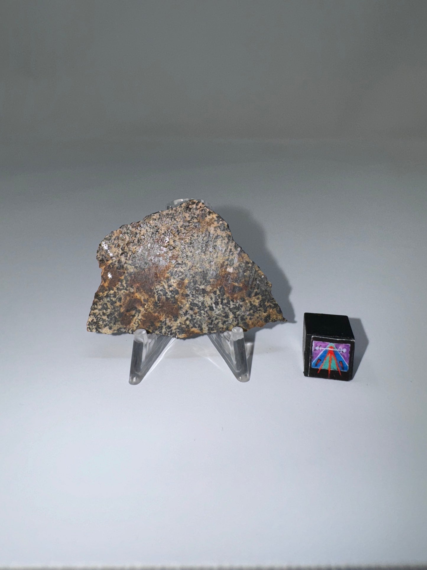 NWA 16312 Eucrite Meteorite - 7.9g - Part Of The HED Group