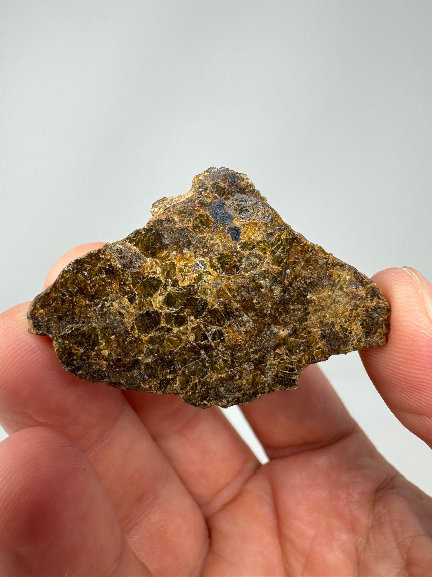 20.6g NWA 16317 Translucent Diogenite Meteorite - RARE END CUT! Parent Body: Asteroid Vesta
