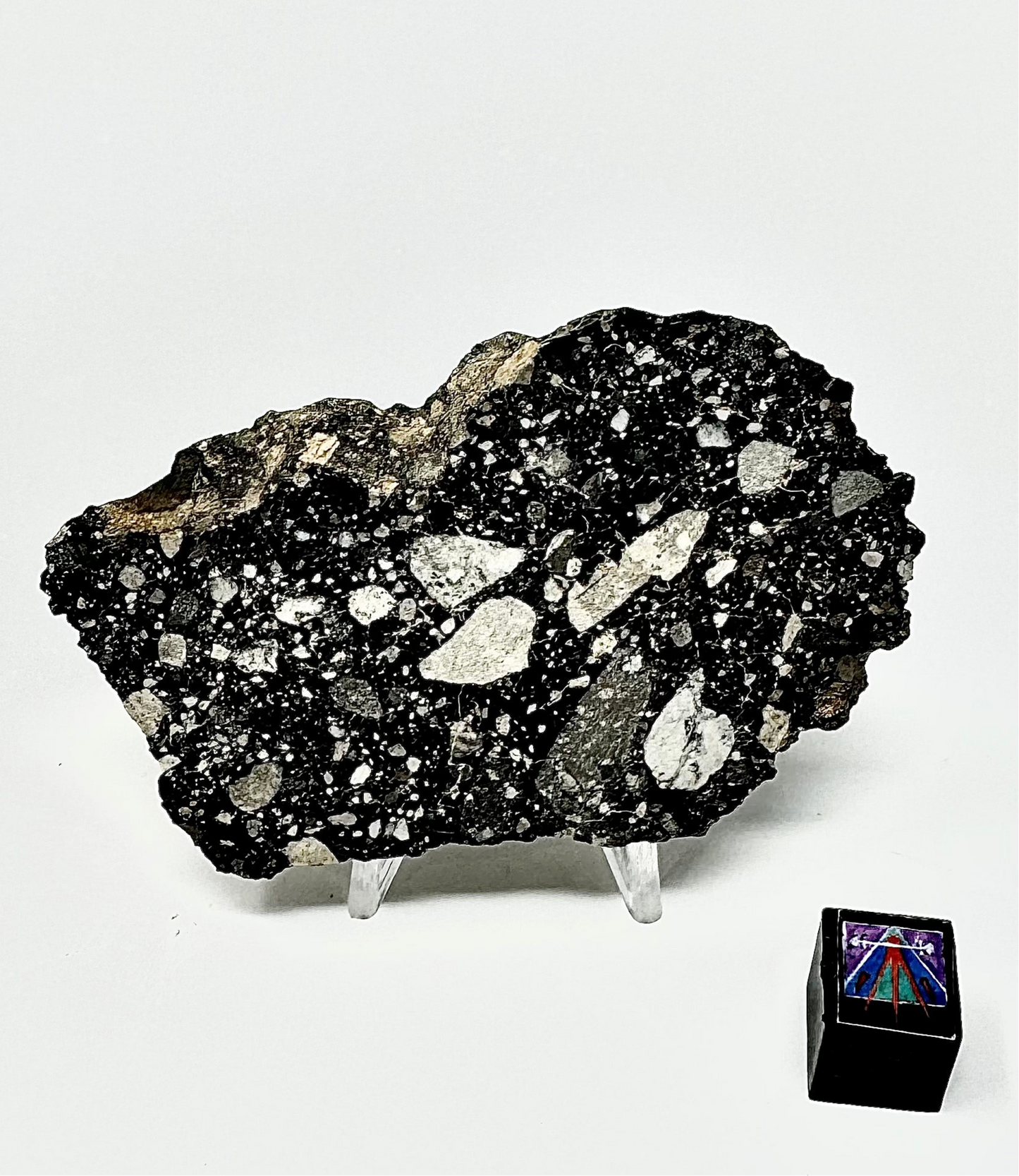 NWA 14685 Lunar Fragmental Breccia End Cut - Polished - 37.6g