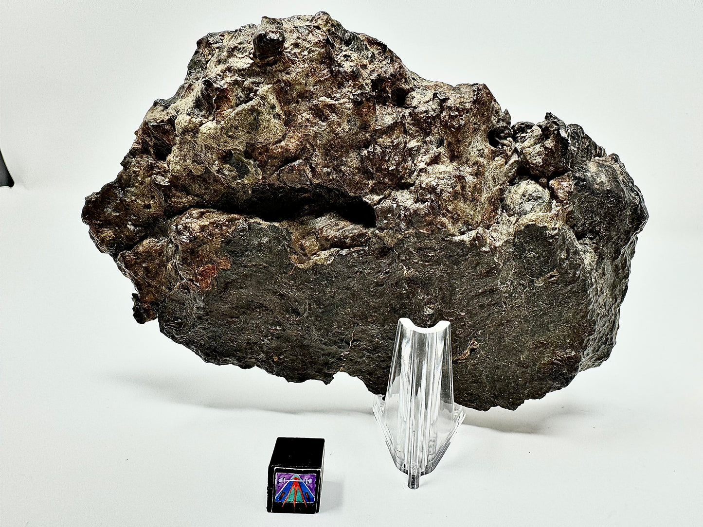 MAIN MASS! 462.7 El Milhas 005 Mesosiderite Meteorite End Cut - The Estherville Lookalike!