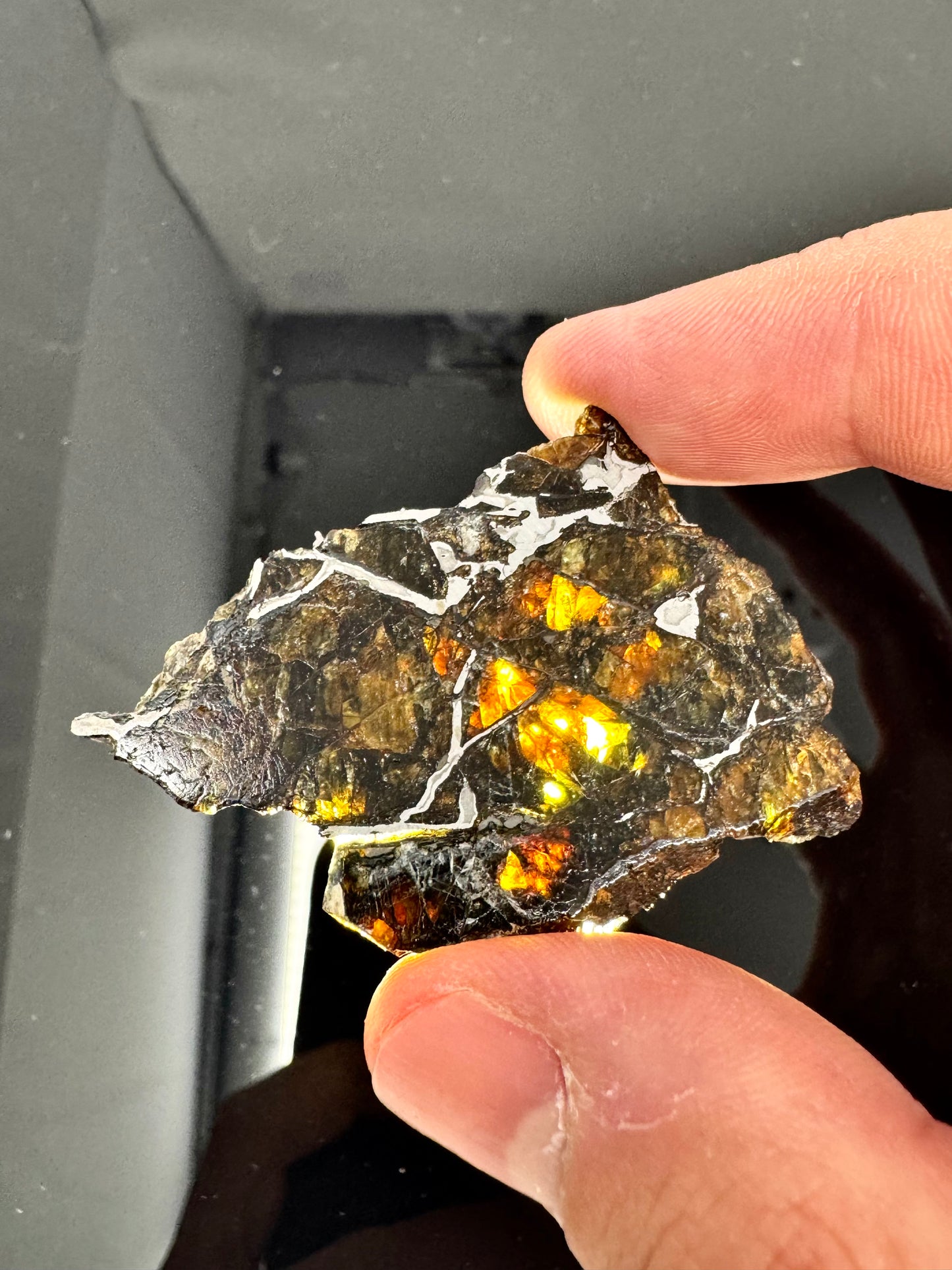 10.7g Admire Pallasite Meteorite - From The Mantle/Core Of An Asteroid - Grade B Translucency