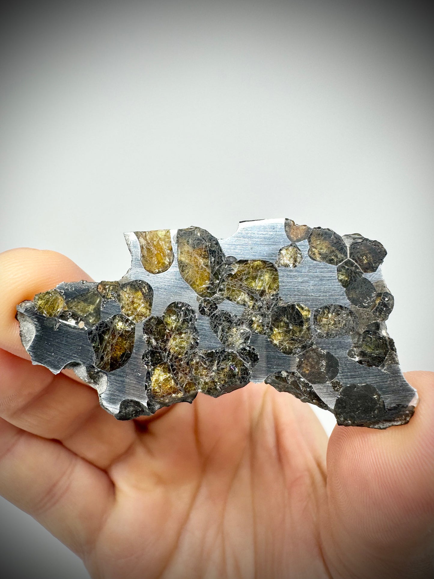 Springwater Pallasite - 13g Full Slice - Exquisite Translucency and Polish