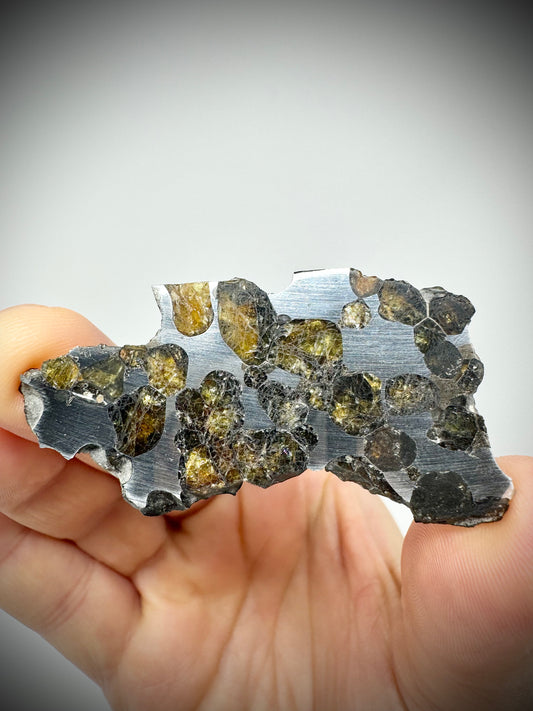 Springwater Pallasite - 13g Full Slice - Exquisite Translucency and Polish