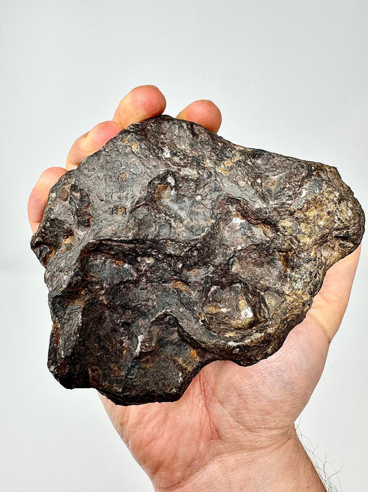 2,018g Campo Del Cielo Iron Meteorite - Lots of regmyglypts!